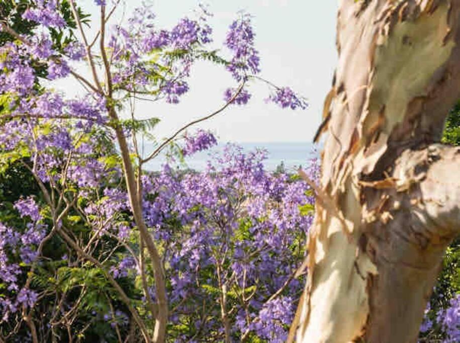 DRIFTWOOD- Hidden Gem, great view in a nature setting