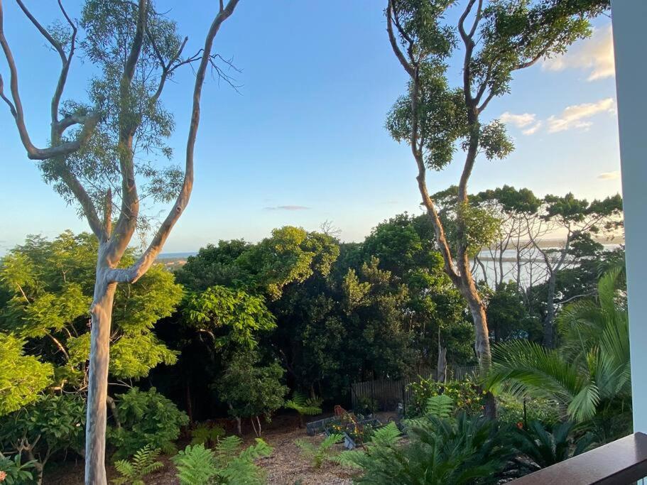 DRIFTWOOD- Hidden Gem, great view in a nature setting