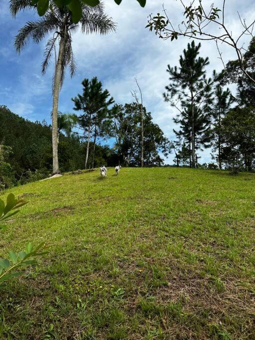 Casa de campo com cachoeira no quintal