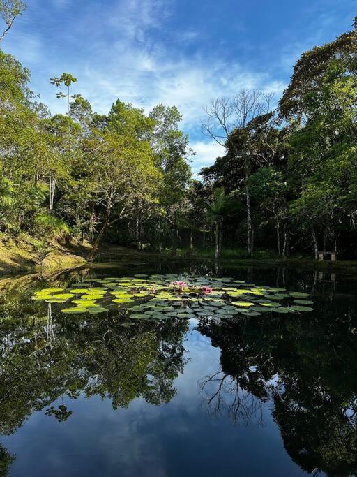 Casa de campo com cachoeira no quintal