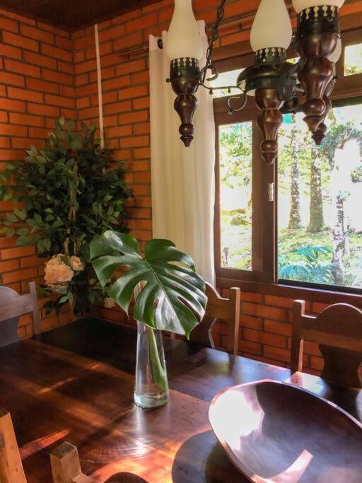 Casa de campo com cachoeira no quintal