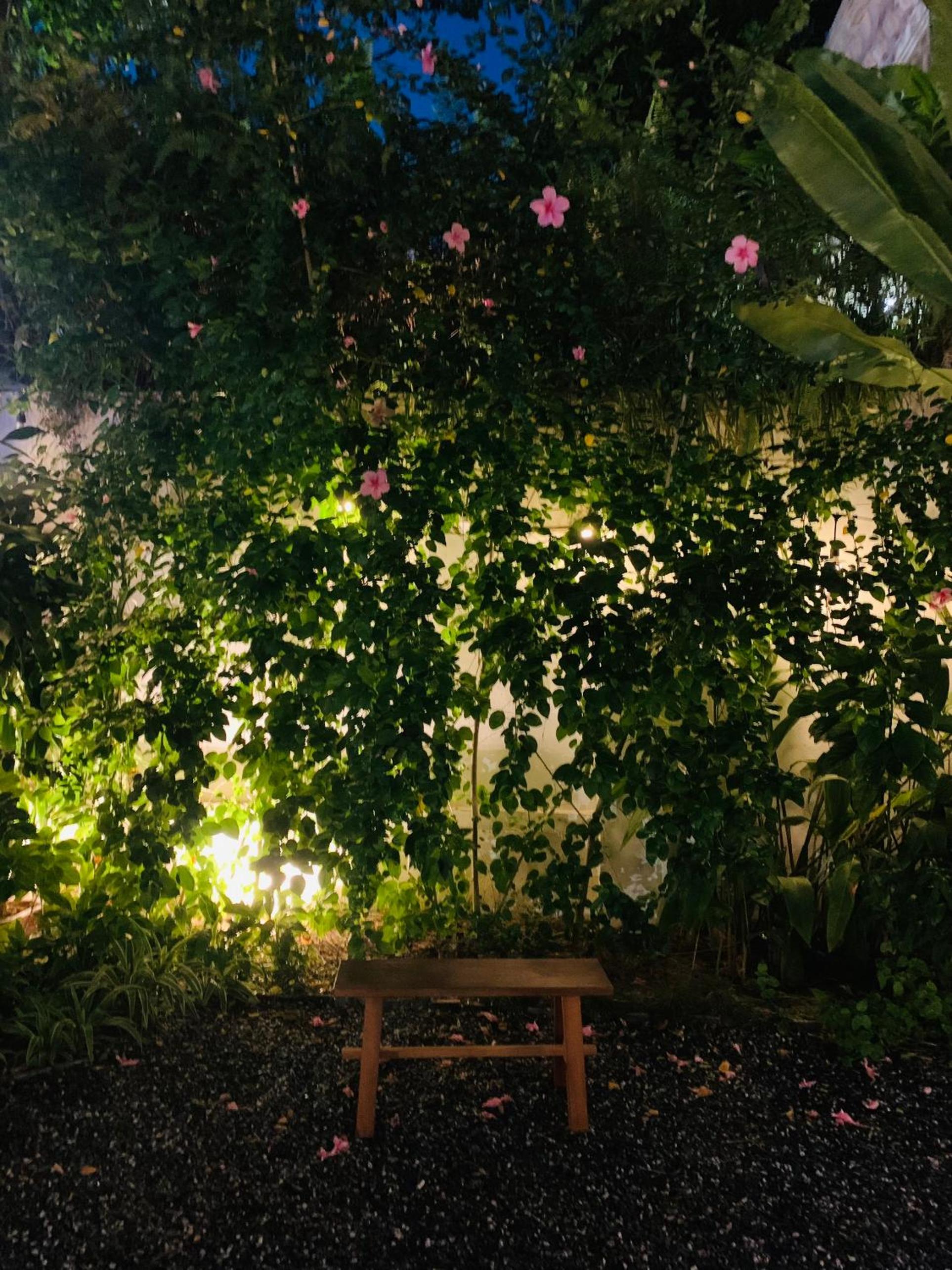 An Hiên Homestay Hội An