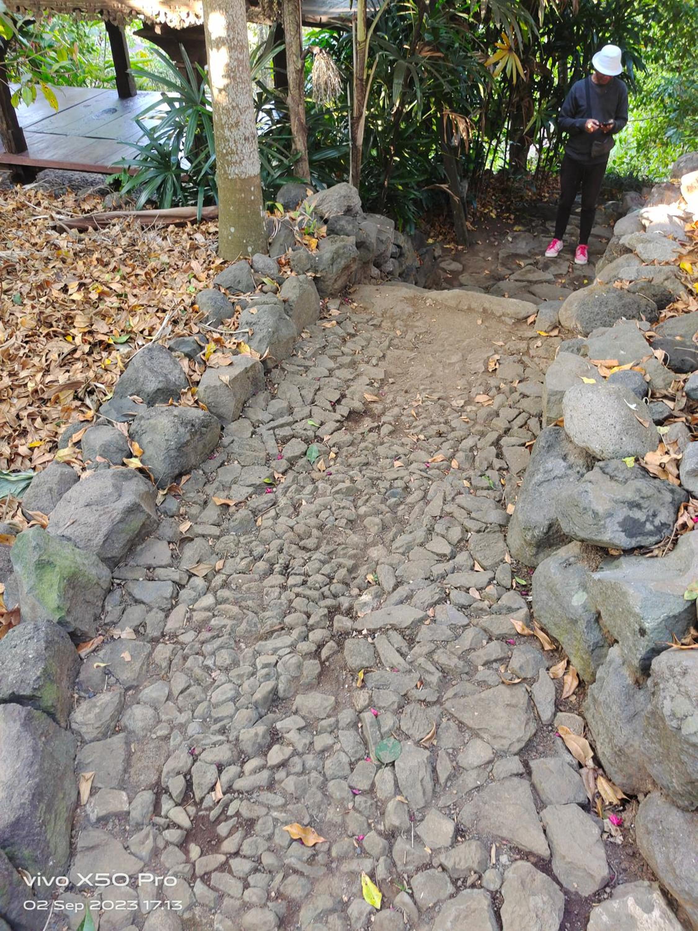 CLOVE GARDEN view 2