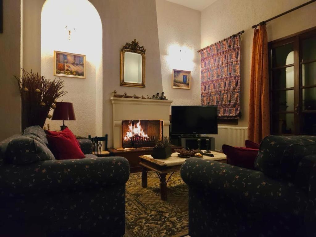 Duke's Horizon Villa in Arachova