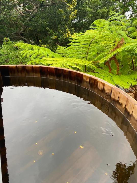 DRIFTWOOD- Hidden Gem, great view in a nature setting