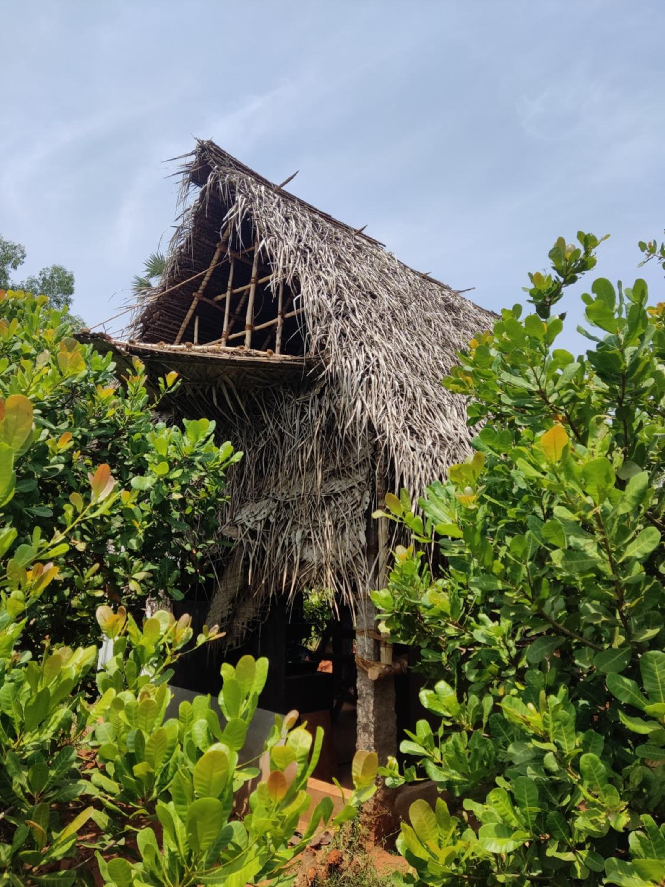 Boomerang community