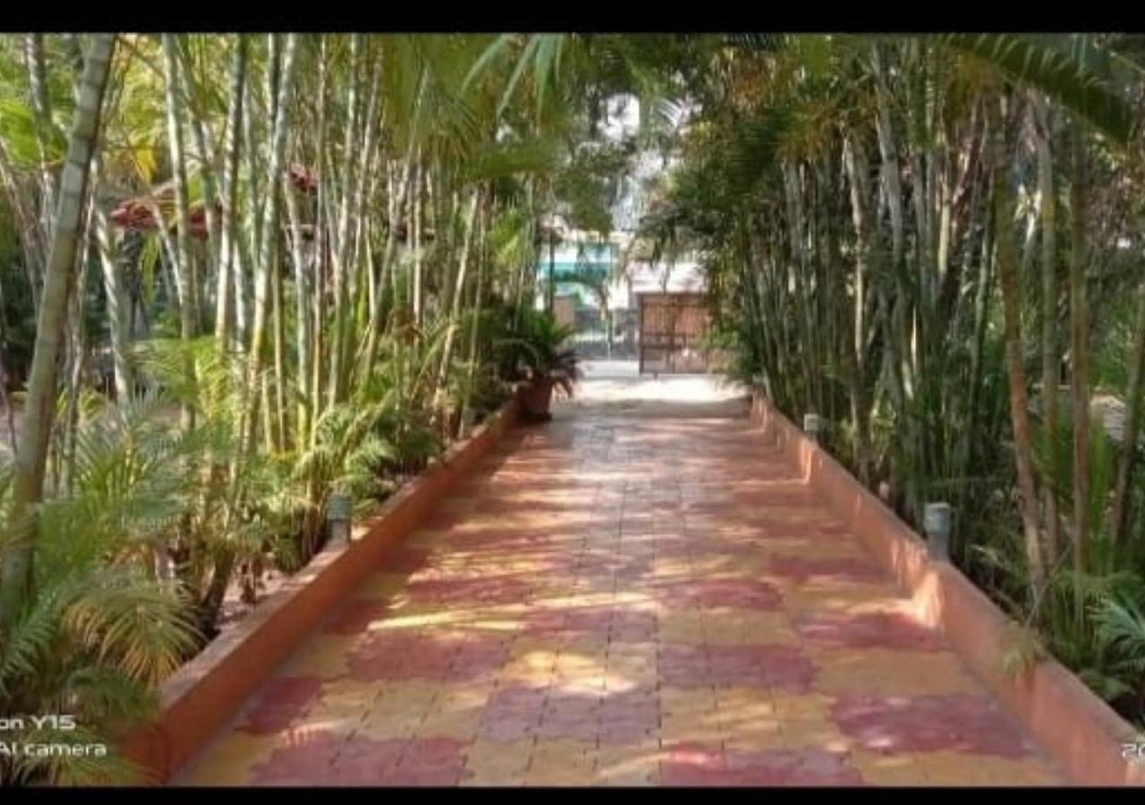 Gayatri Farm Resort Kolan view 4