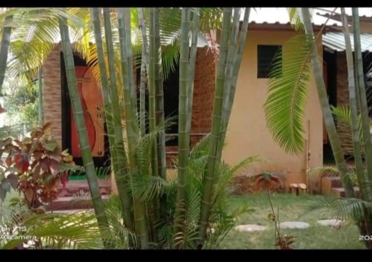 Gayatri Farm Resort Kolan view 5