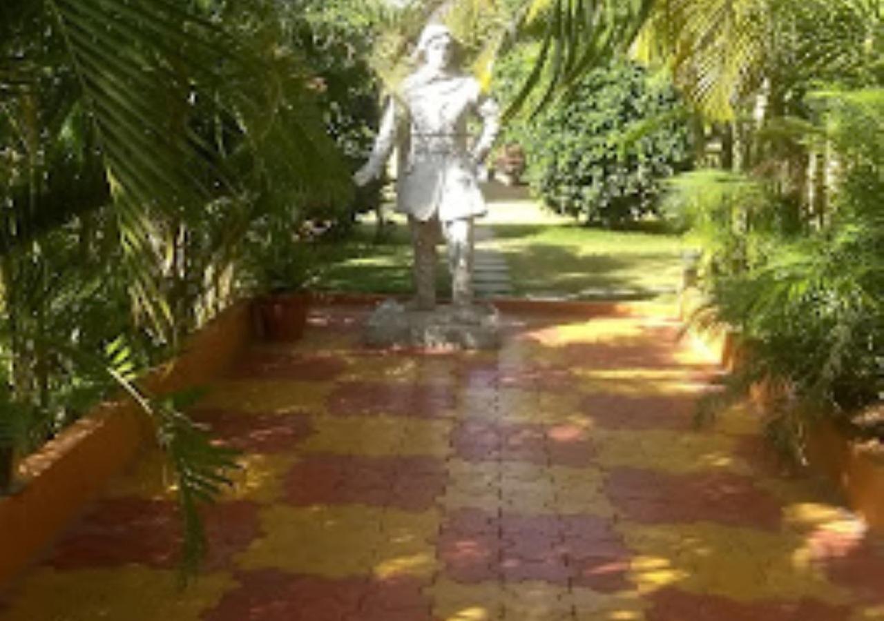 Photo 6