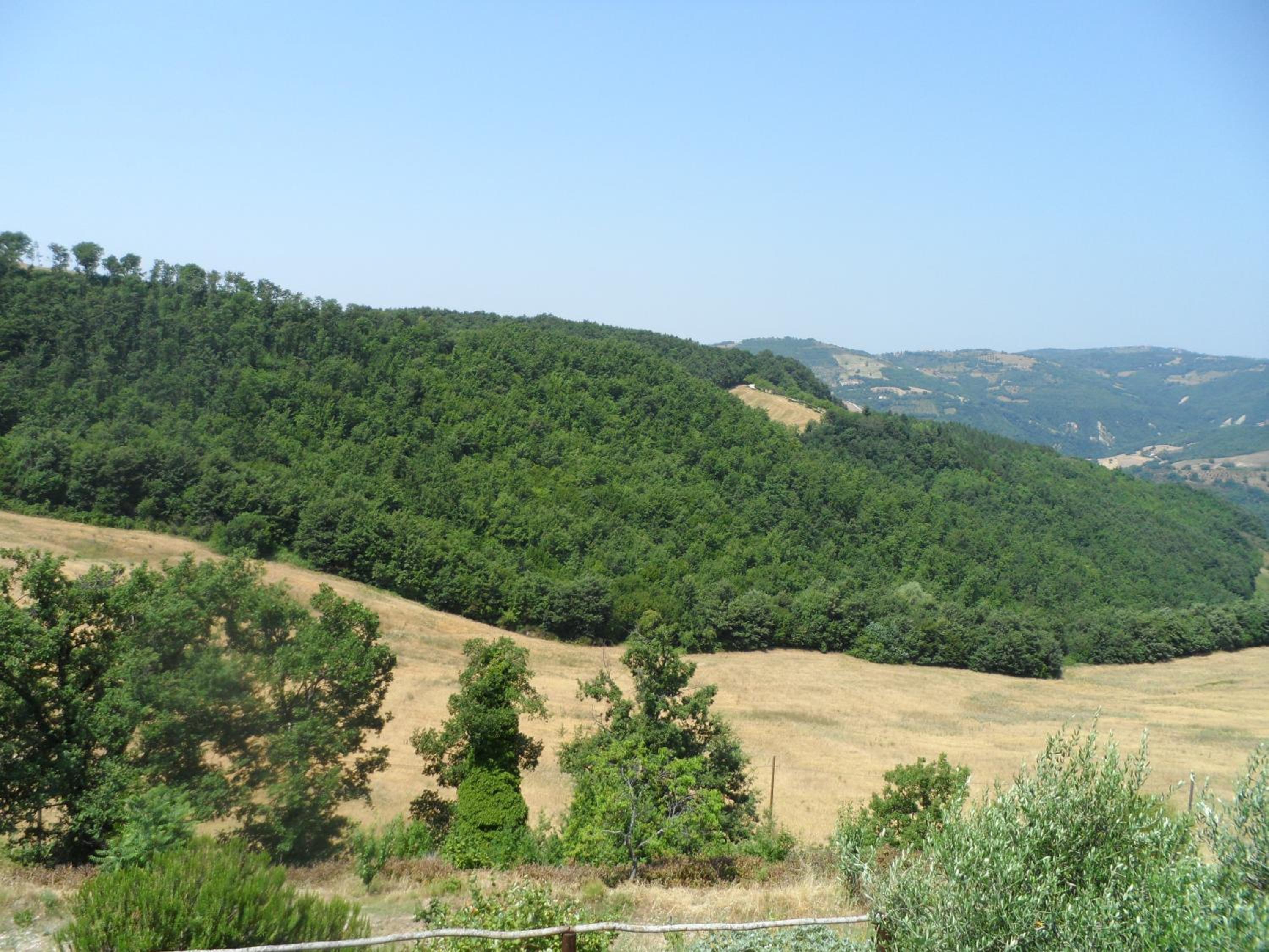 Agriturismo La Terrazza