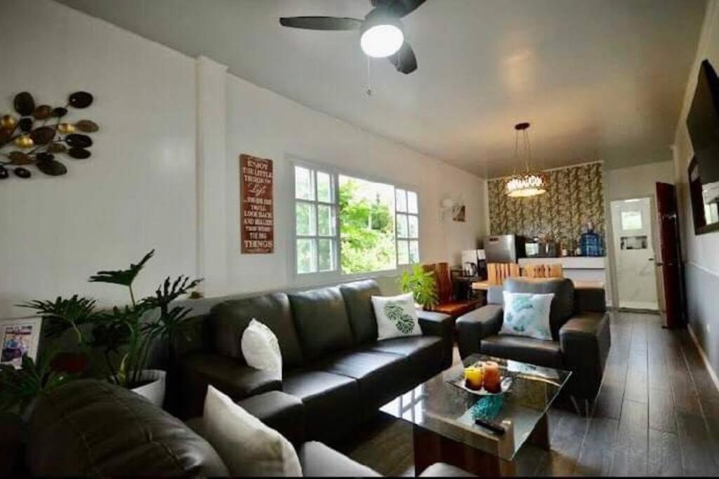 Photo 34