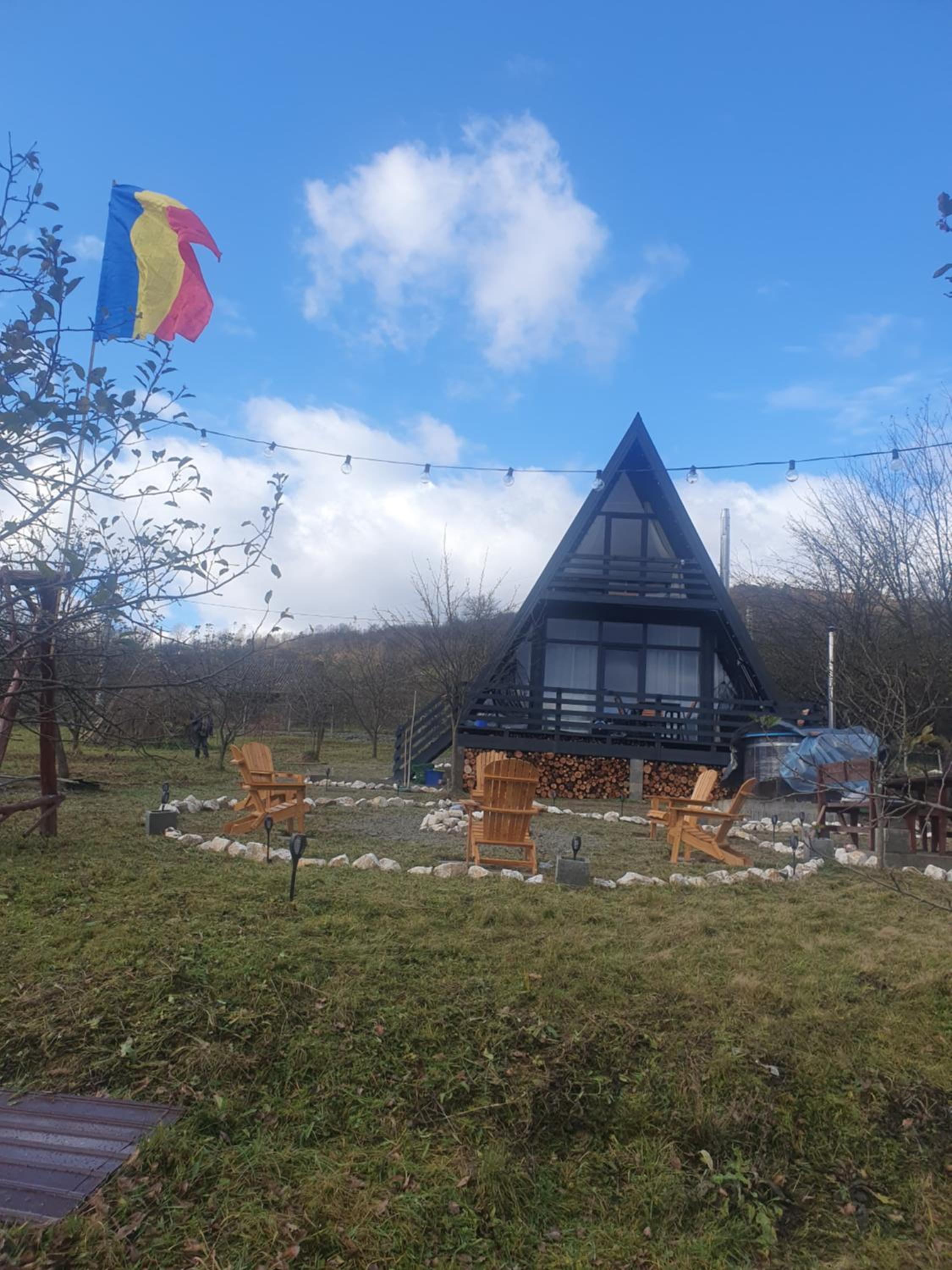 Cabana Apuseni Forest