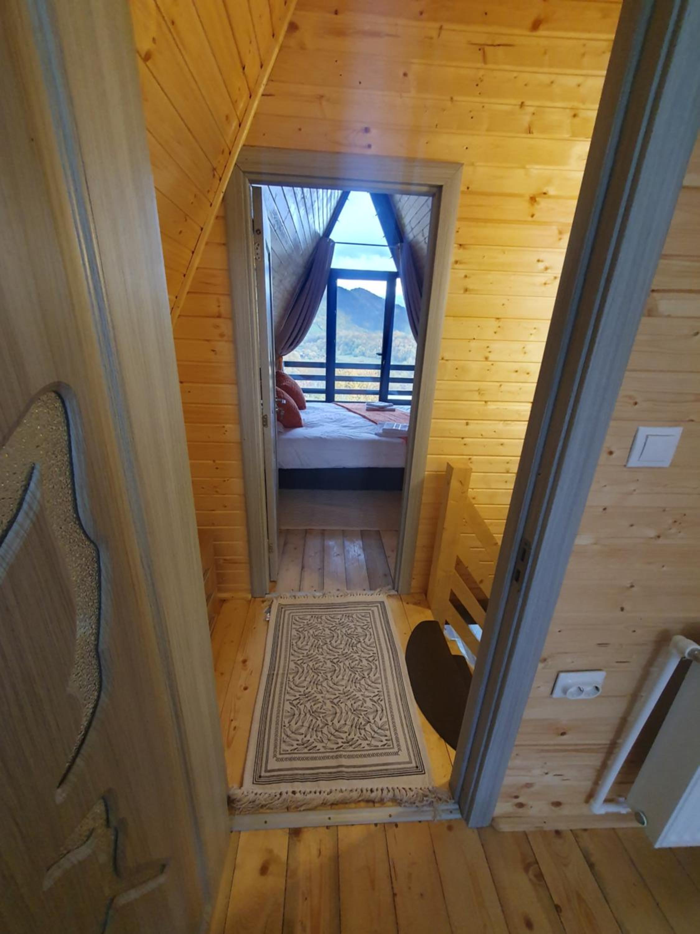 Cabana Apuseni Forest