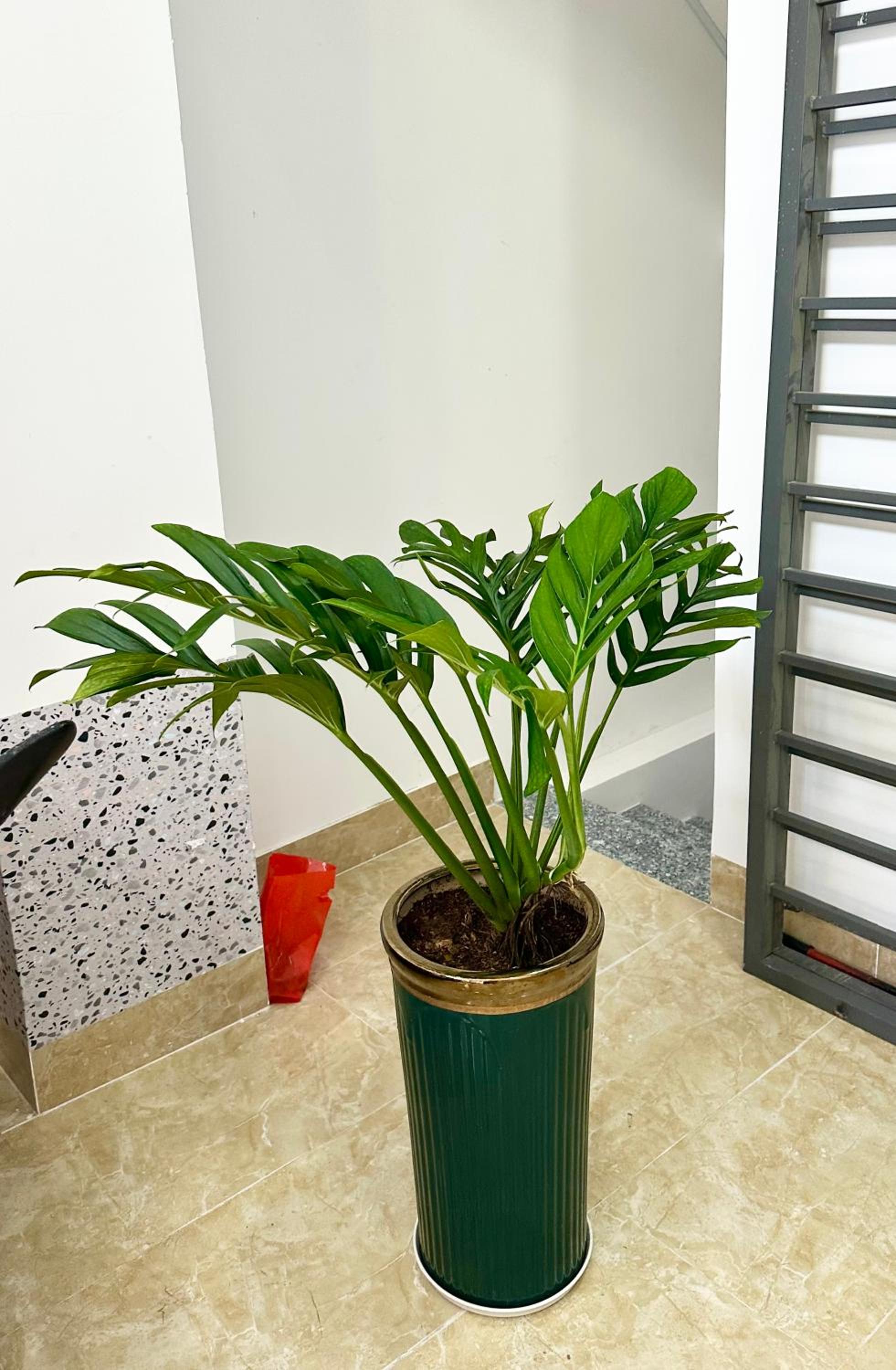 Sweet Rentals Homes Ho Chi Minh