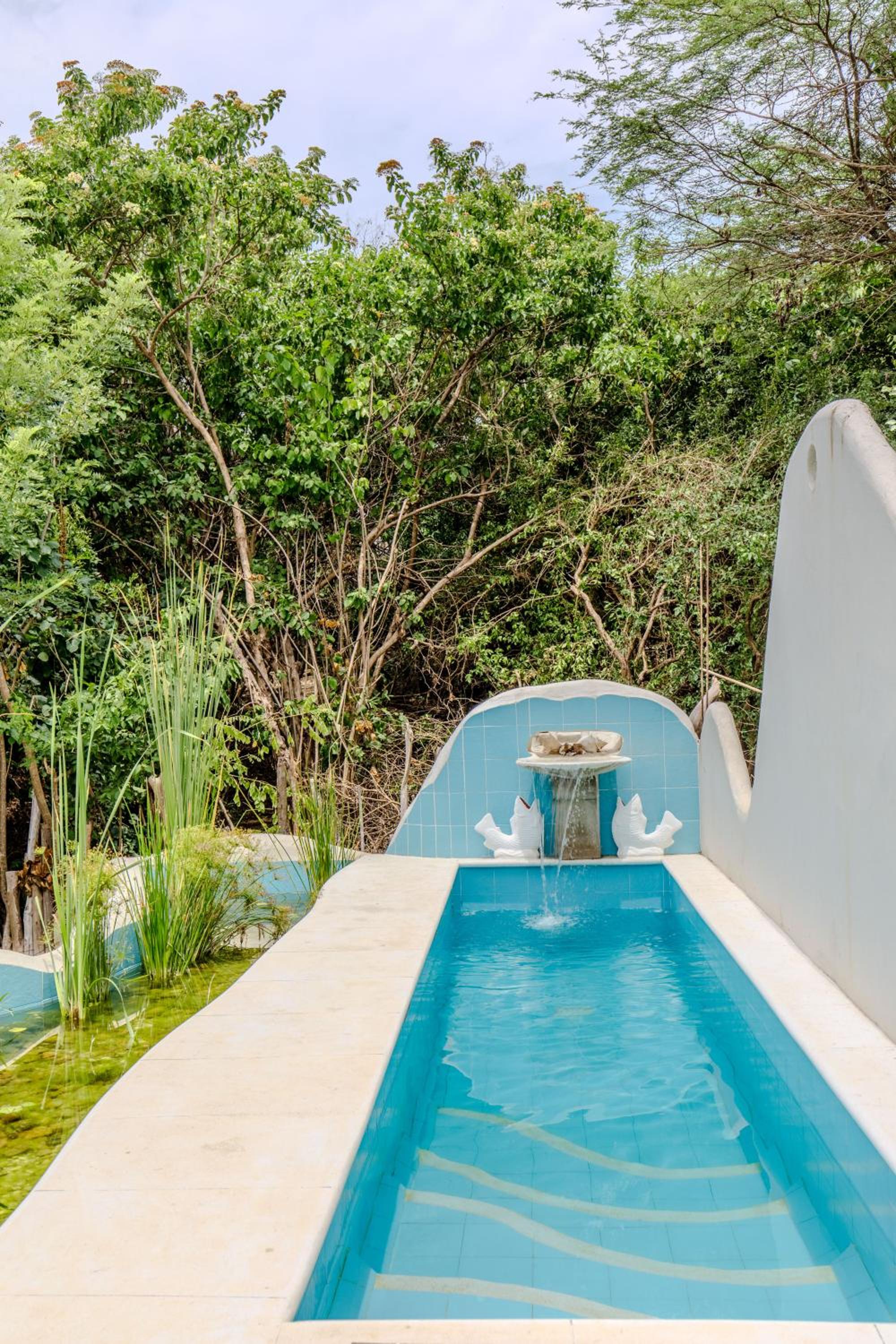 Casa Caracola
