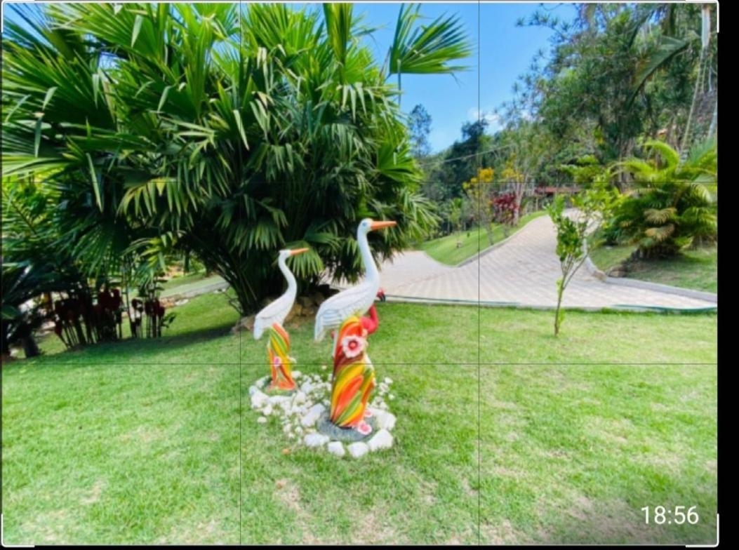 Lindo Sítio Em Domingos Martins