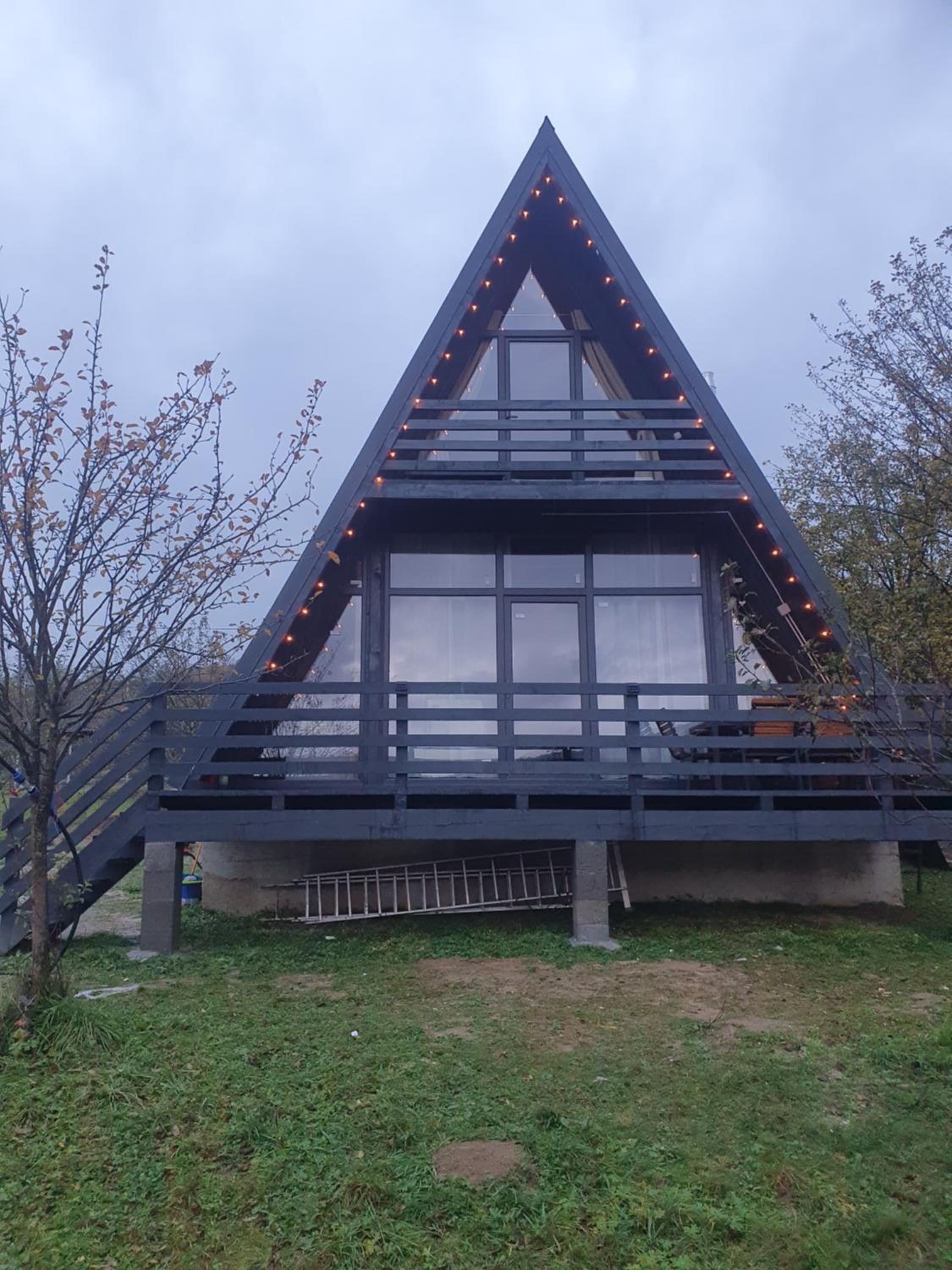 Cabana Apuseni Forest