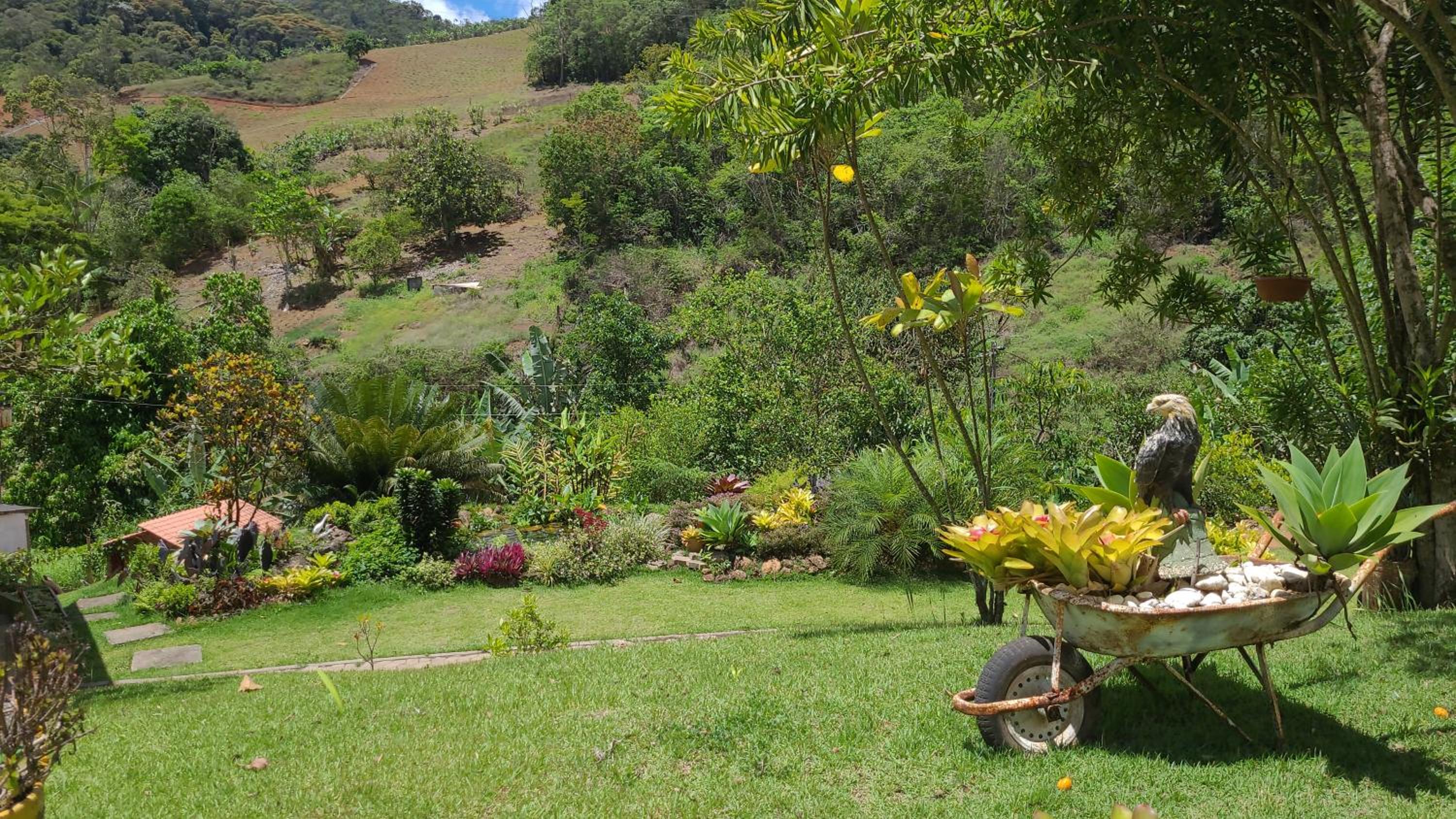 Lindo Sítio Em Domingos Martins
