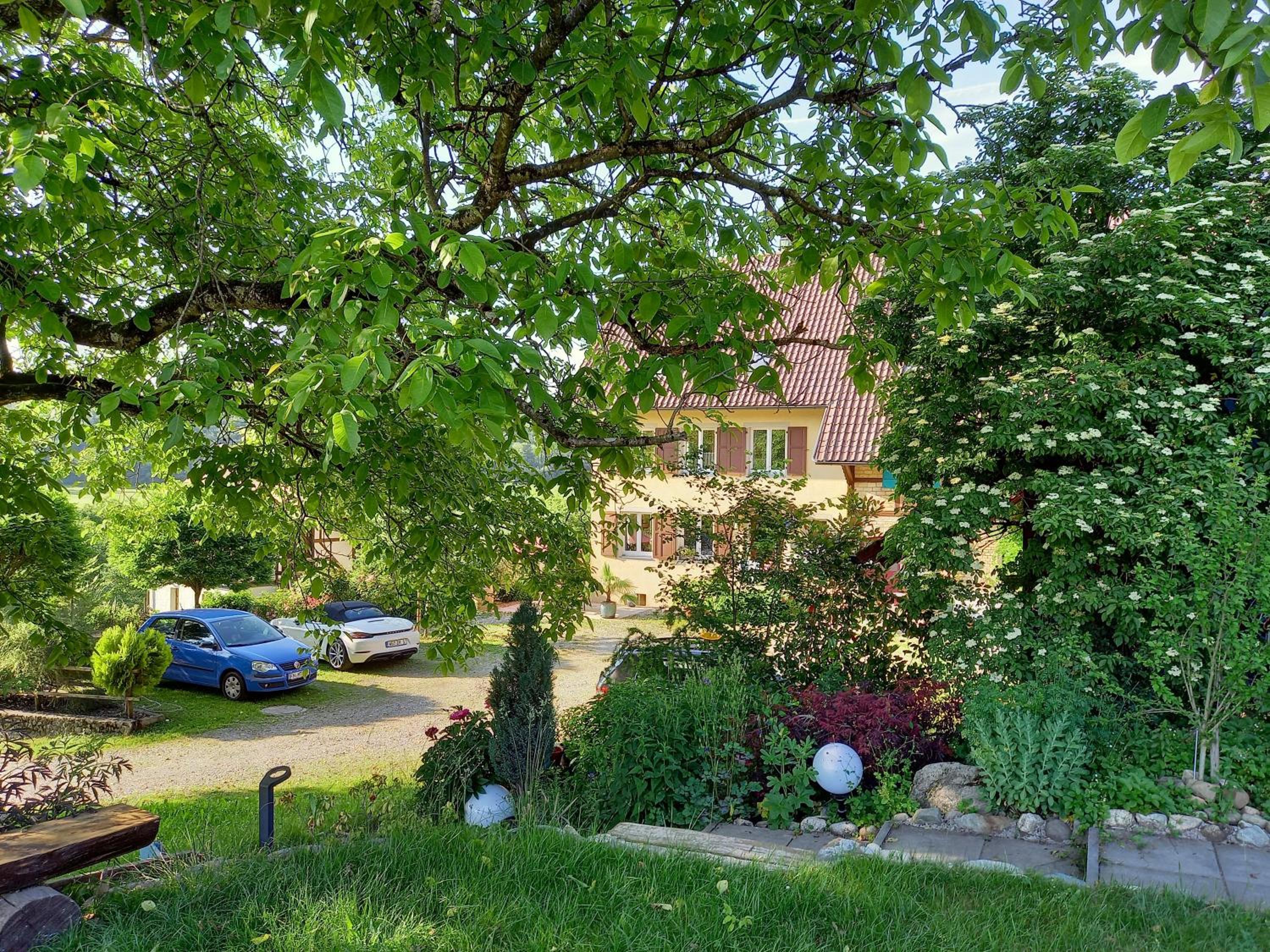 Photo 23