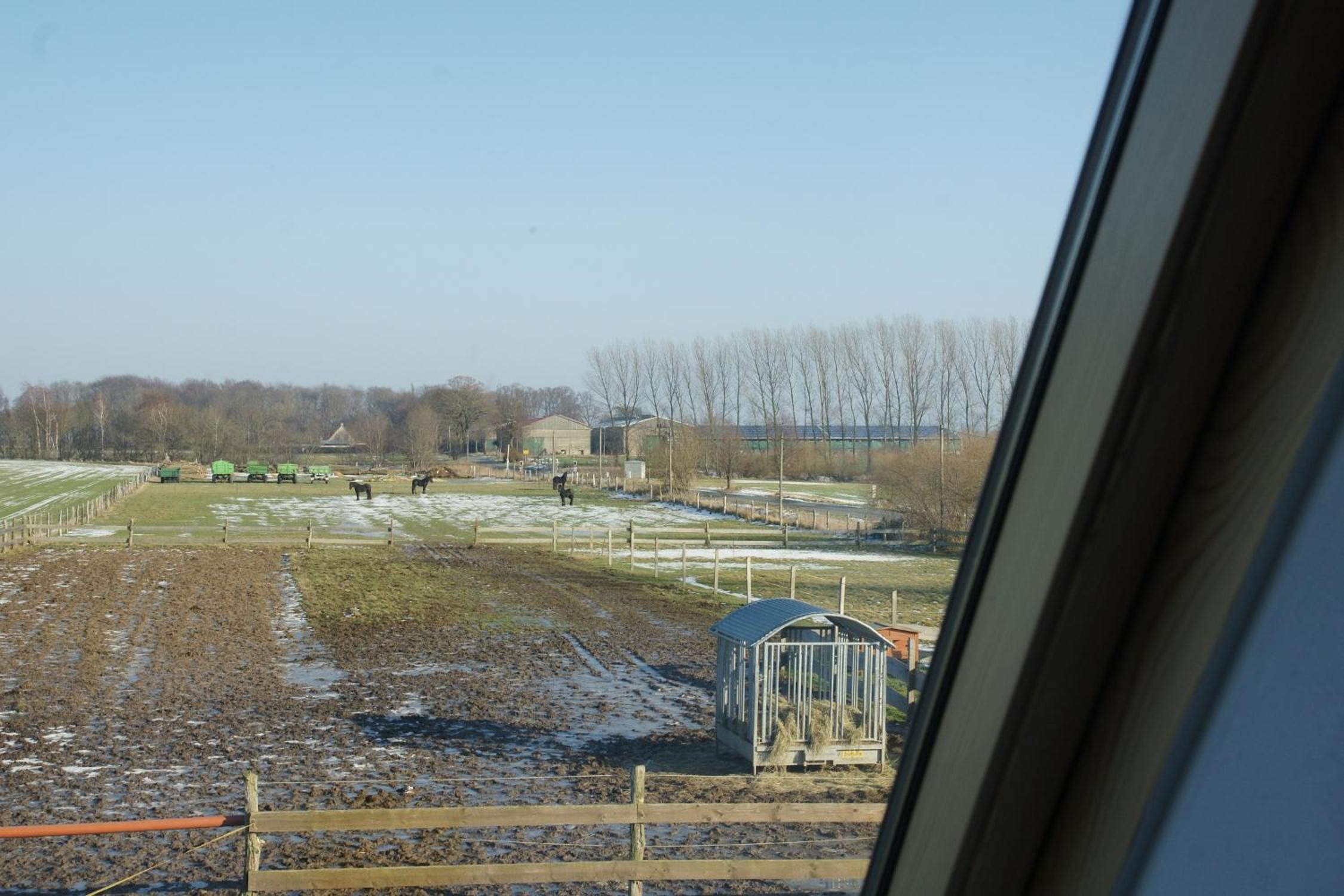 Ferienhof Willi