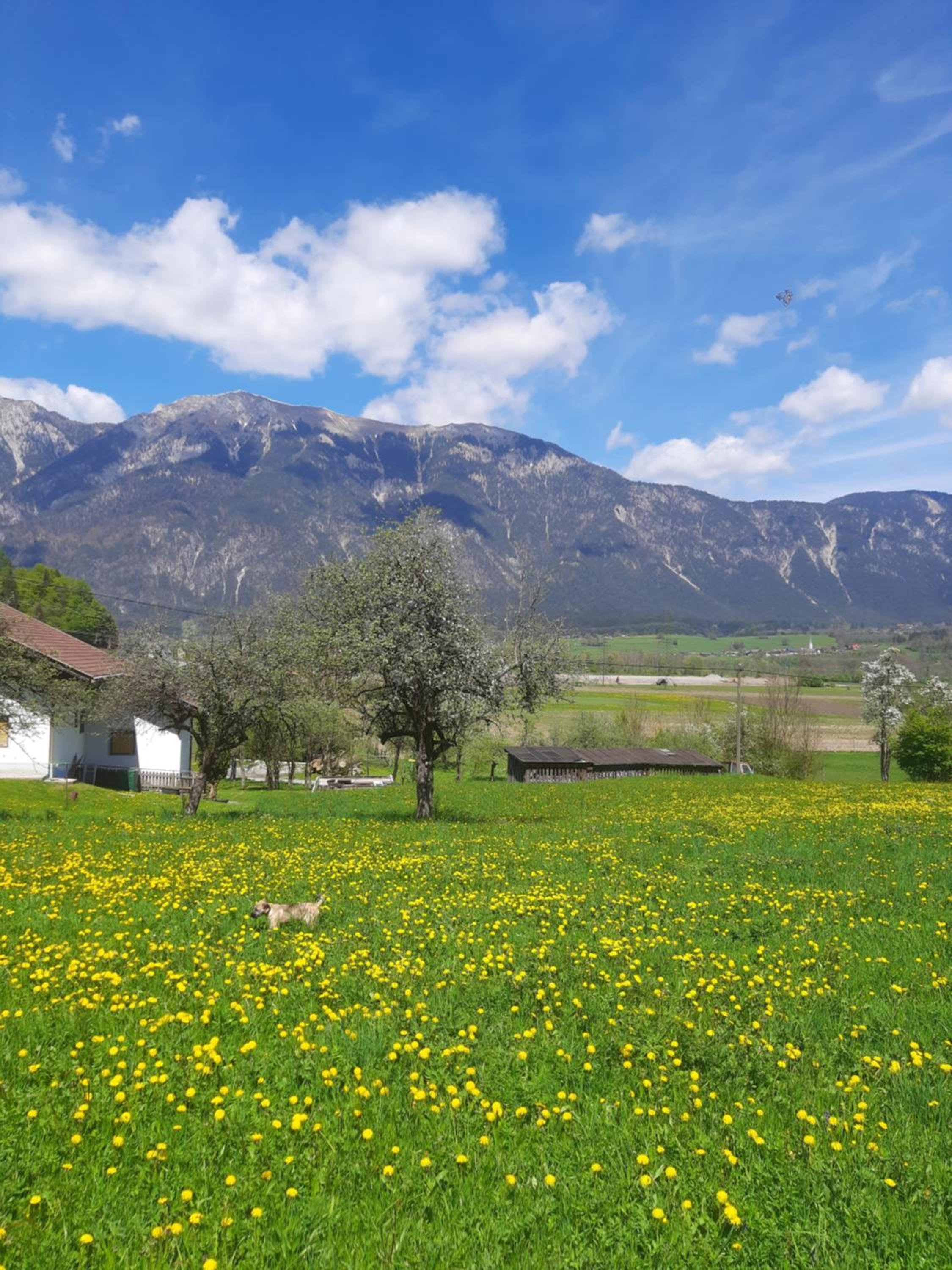 Haus Nampolach