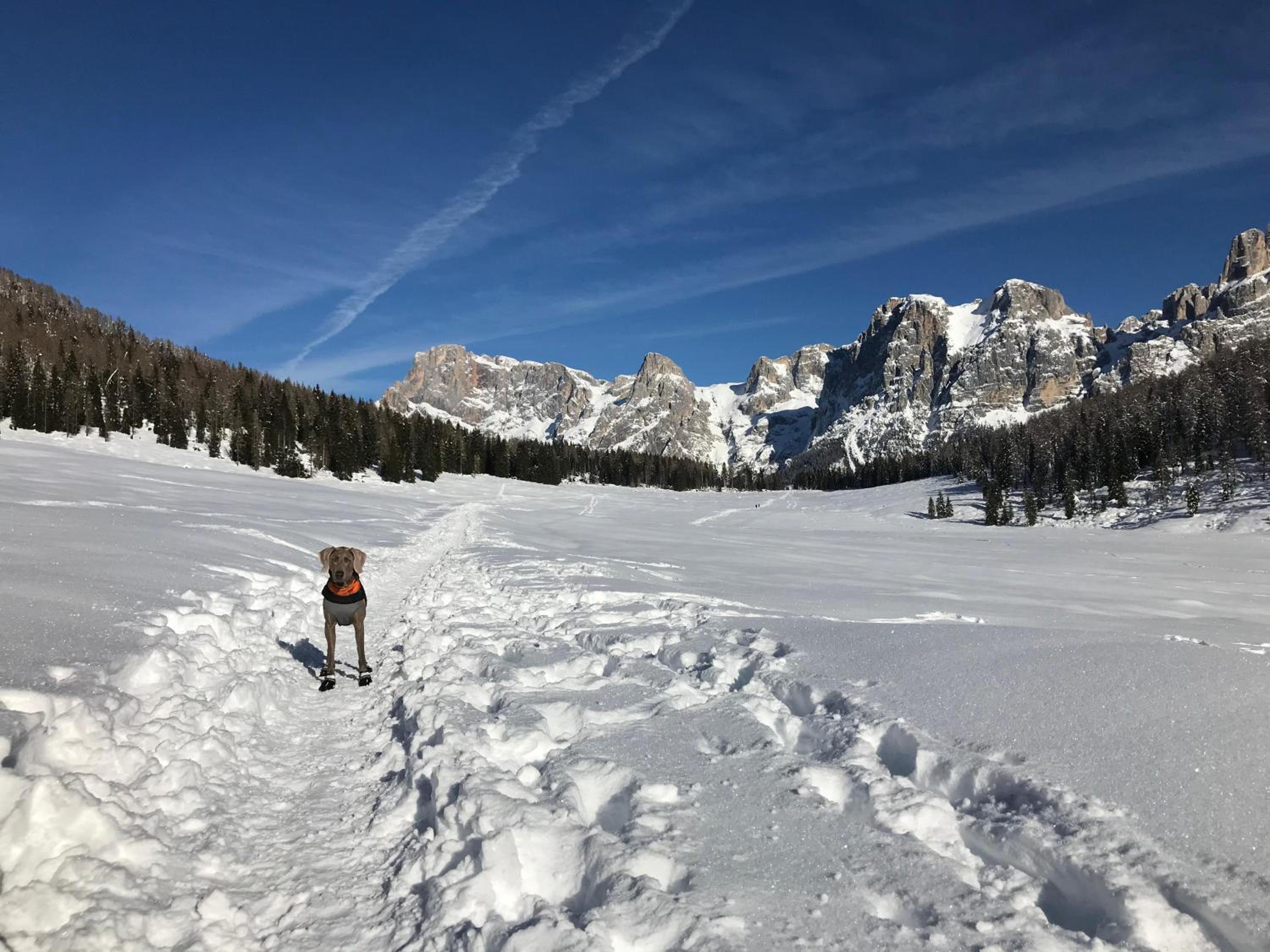 Eco-Baita Natura Spensierata, Billede 12