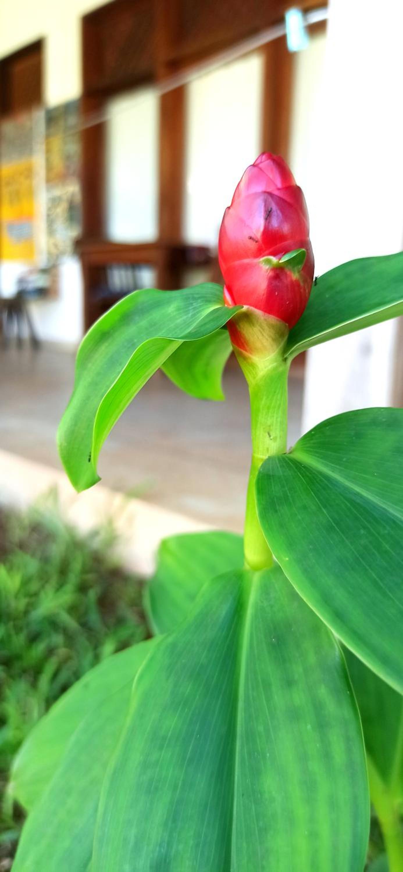 Art Hotel Zanzibar
