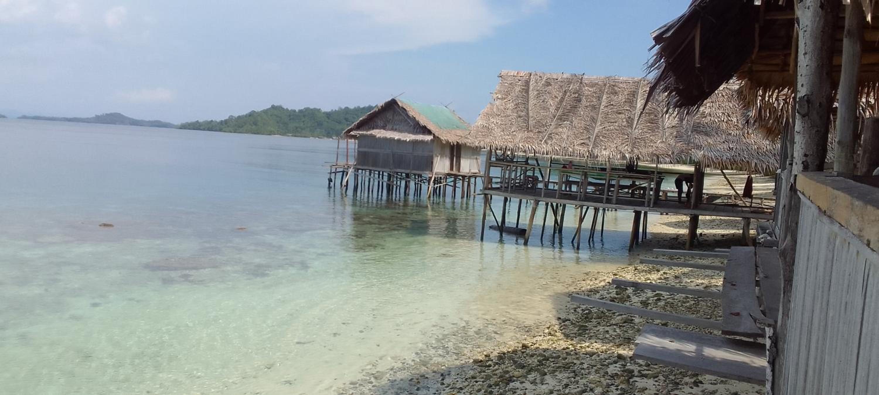 David HOMESTAY RAJA AMPAT view 3