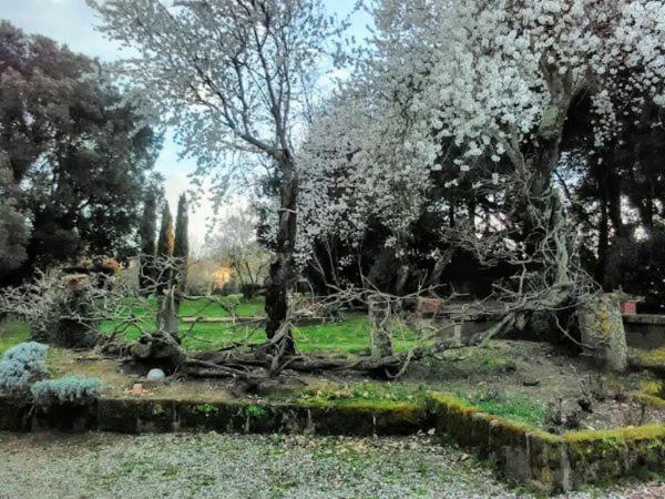 Agriturismo la Romanella view 2