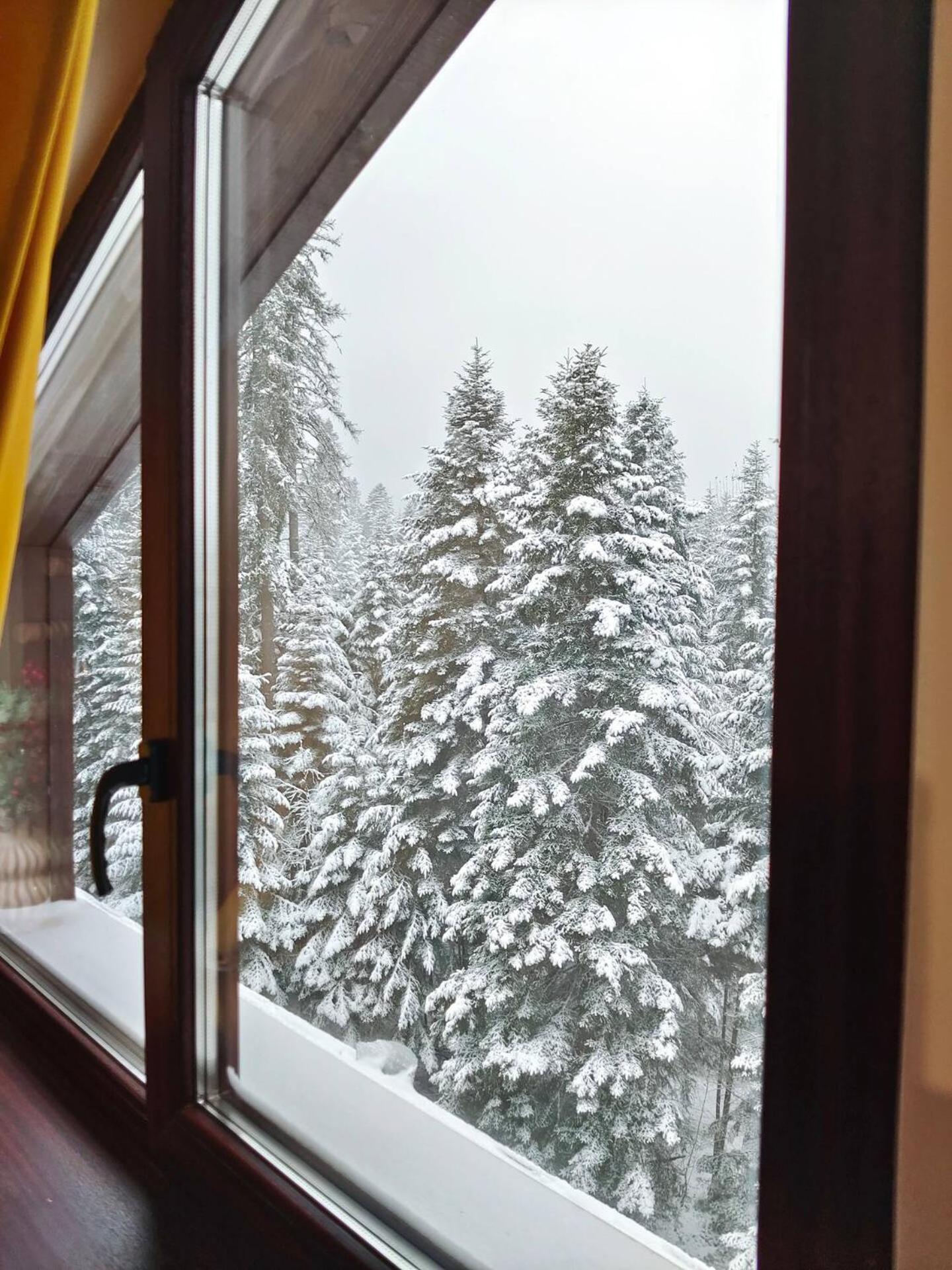 Borovets Dream Studio