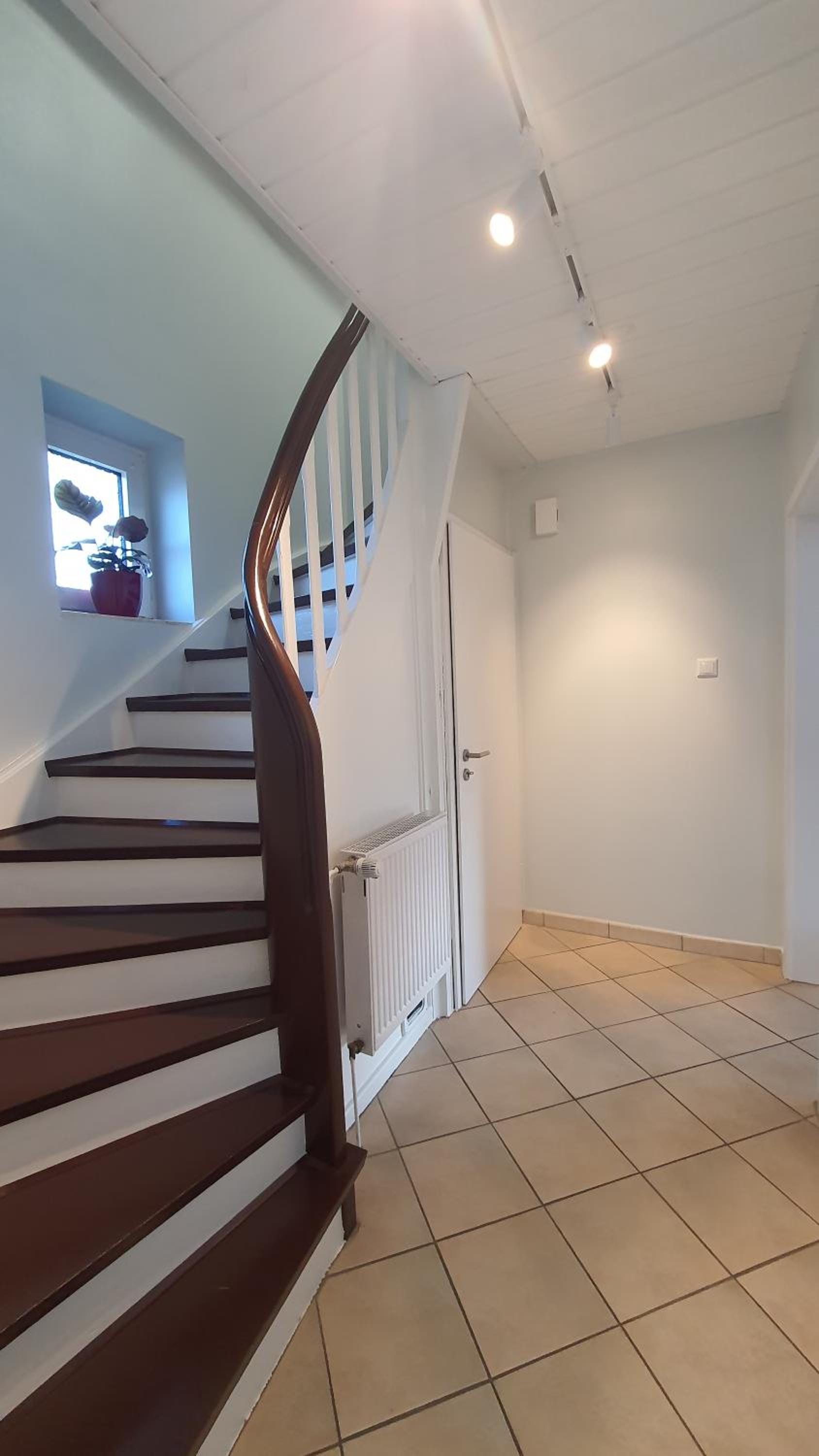 Sakura House Celle - Property Image 19