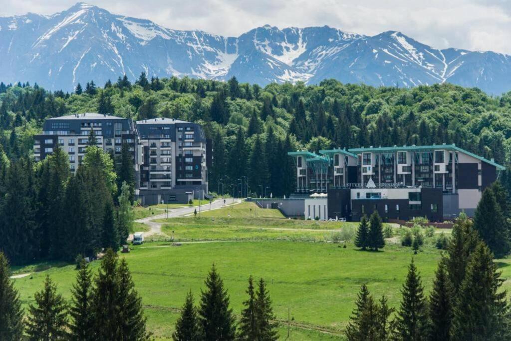 Flat in Brasov, Poiana Brașov view 5