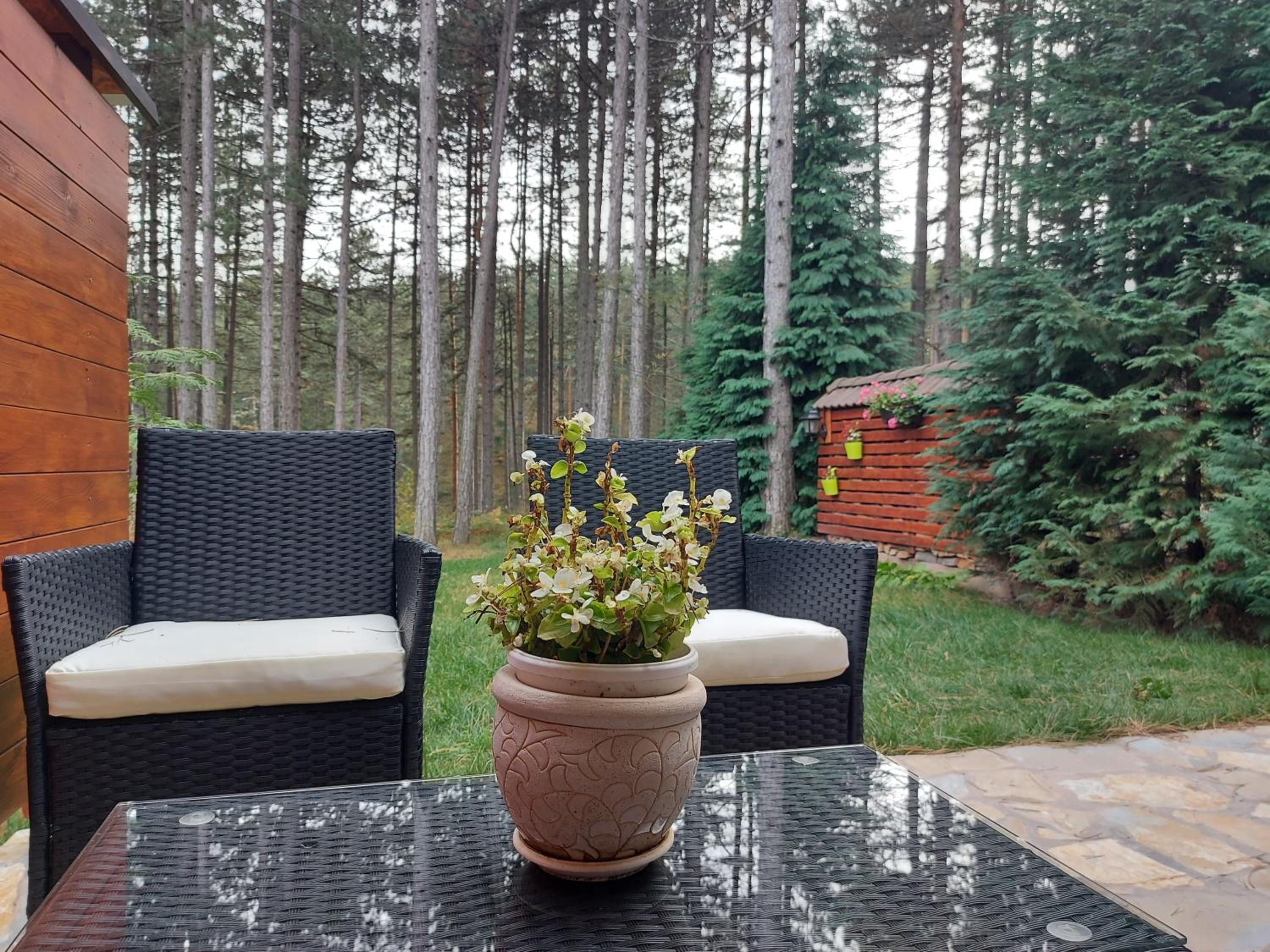Planinska kuća Košuta