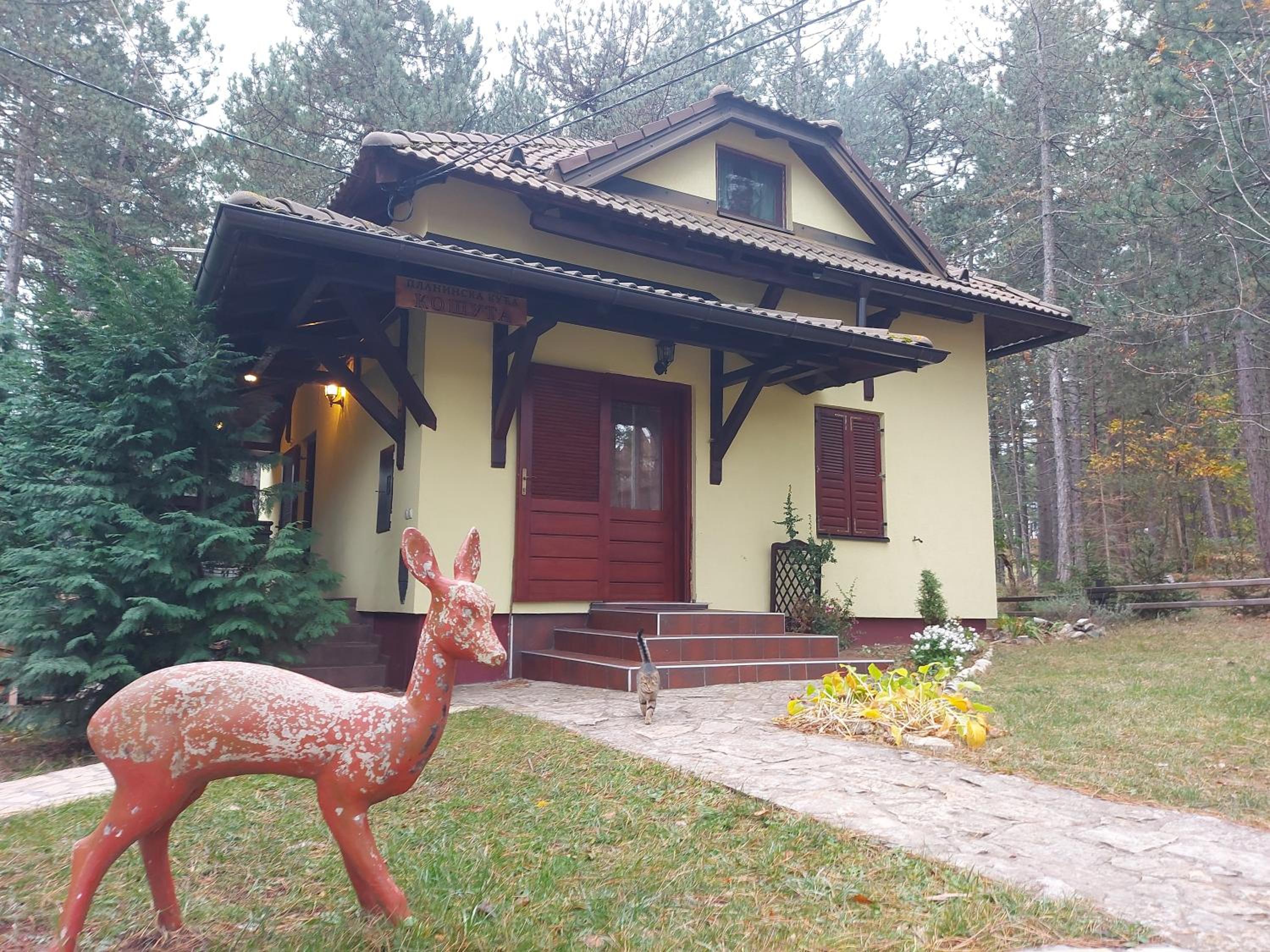 Planinska kuća Košuta