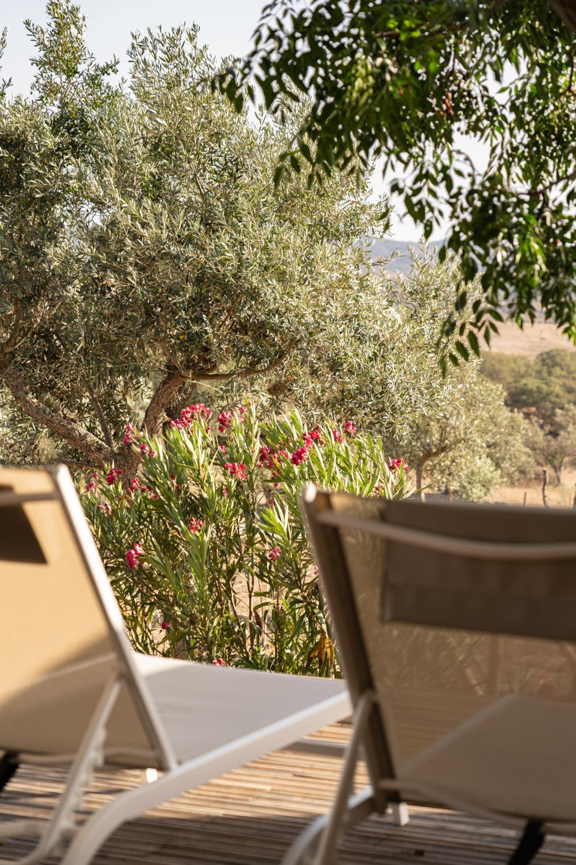 Monte Flora Farmhouse
