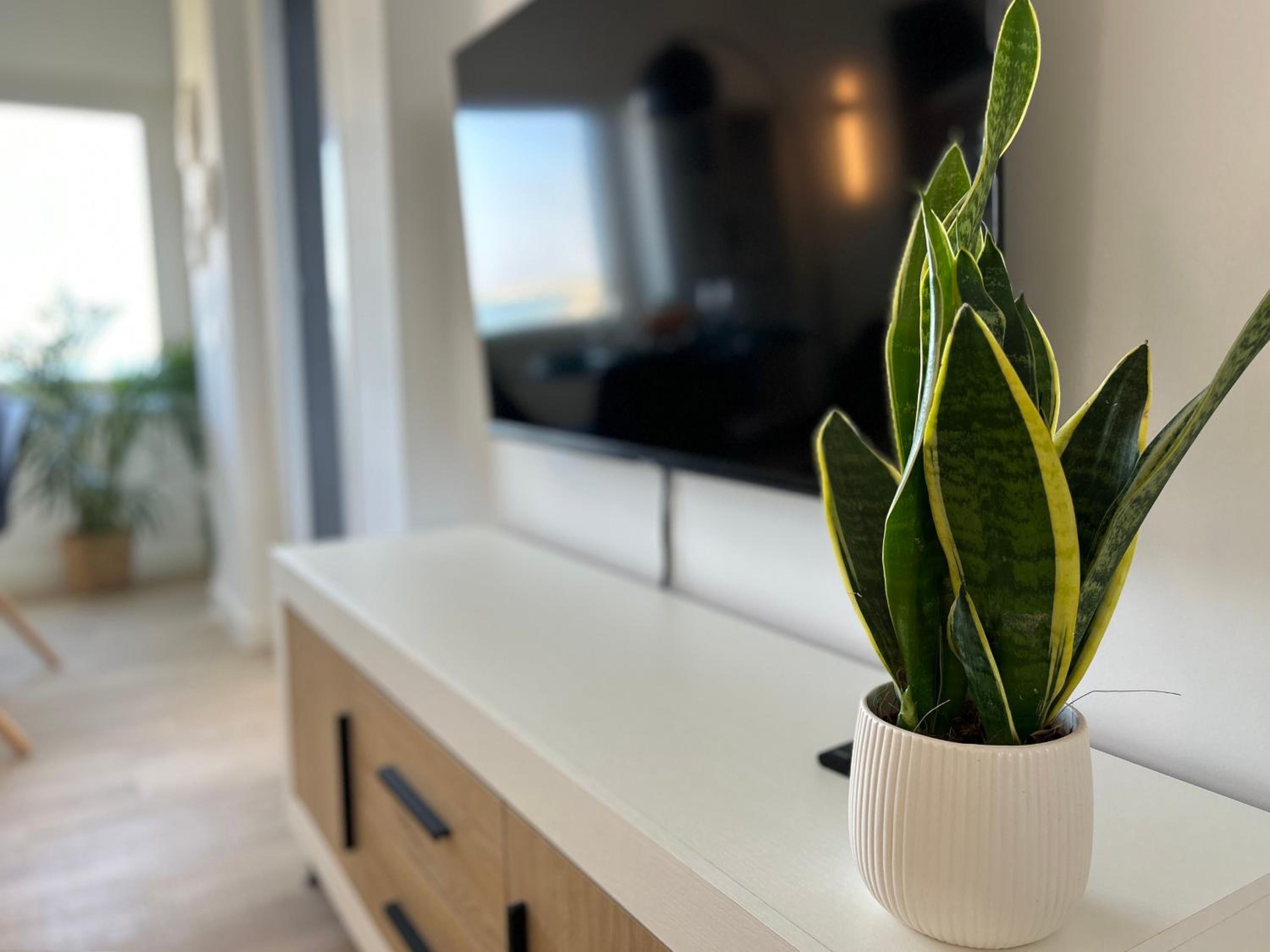 POSIDONIA PUNTA PRIMA - Luxury Seafront Apartments