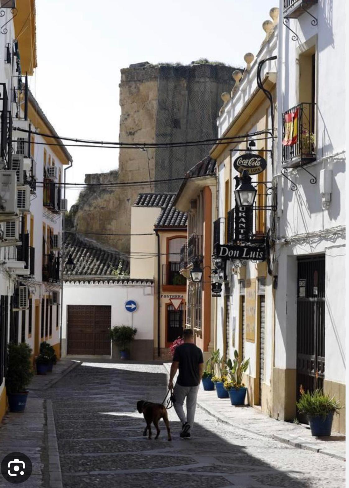 Casa Muralla del Alcazar Viejo