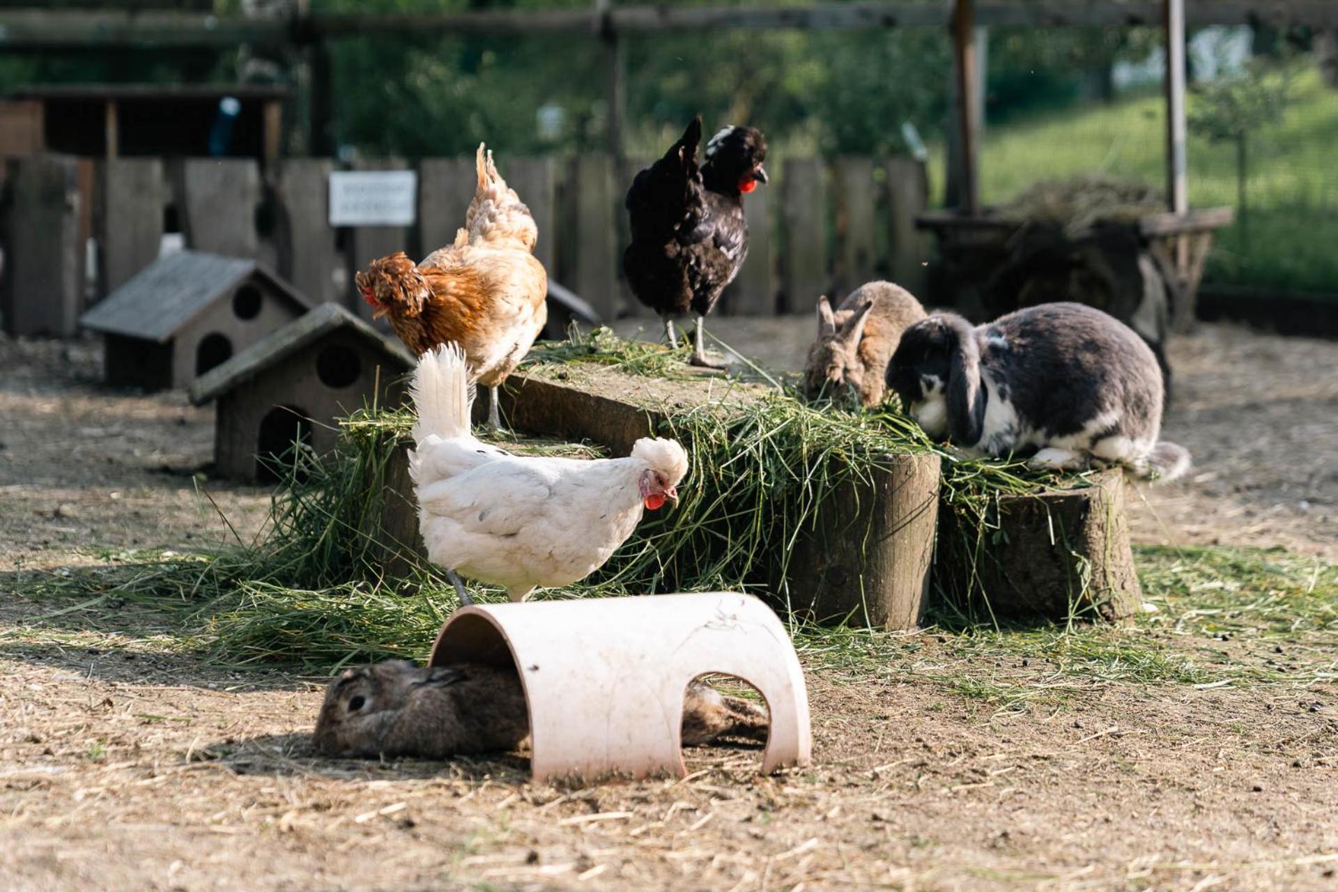 Ferienwohnung Grubinger