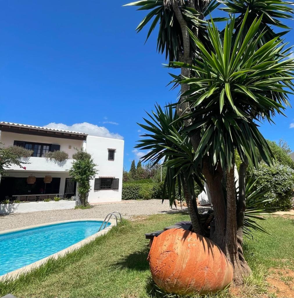 Casa Mamita Ibiza view 4