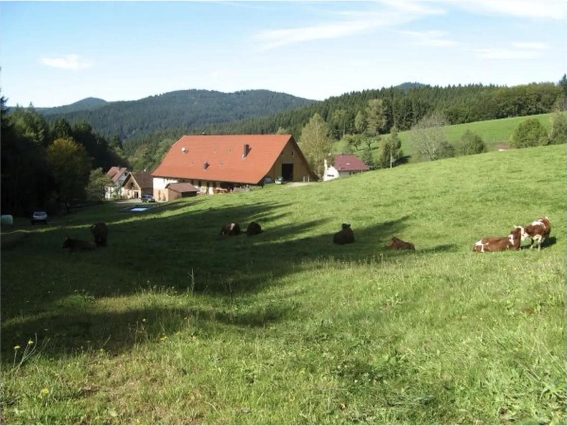 Sulzerhof