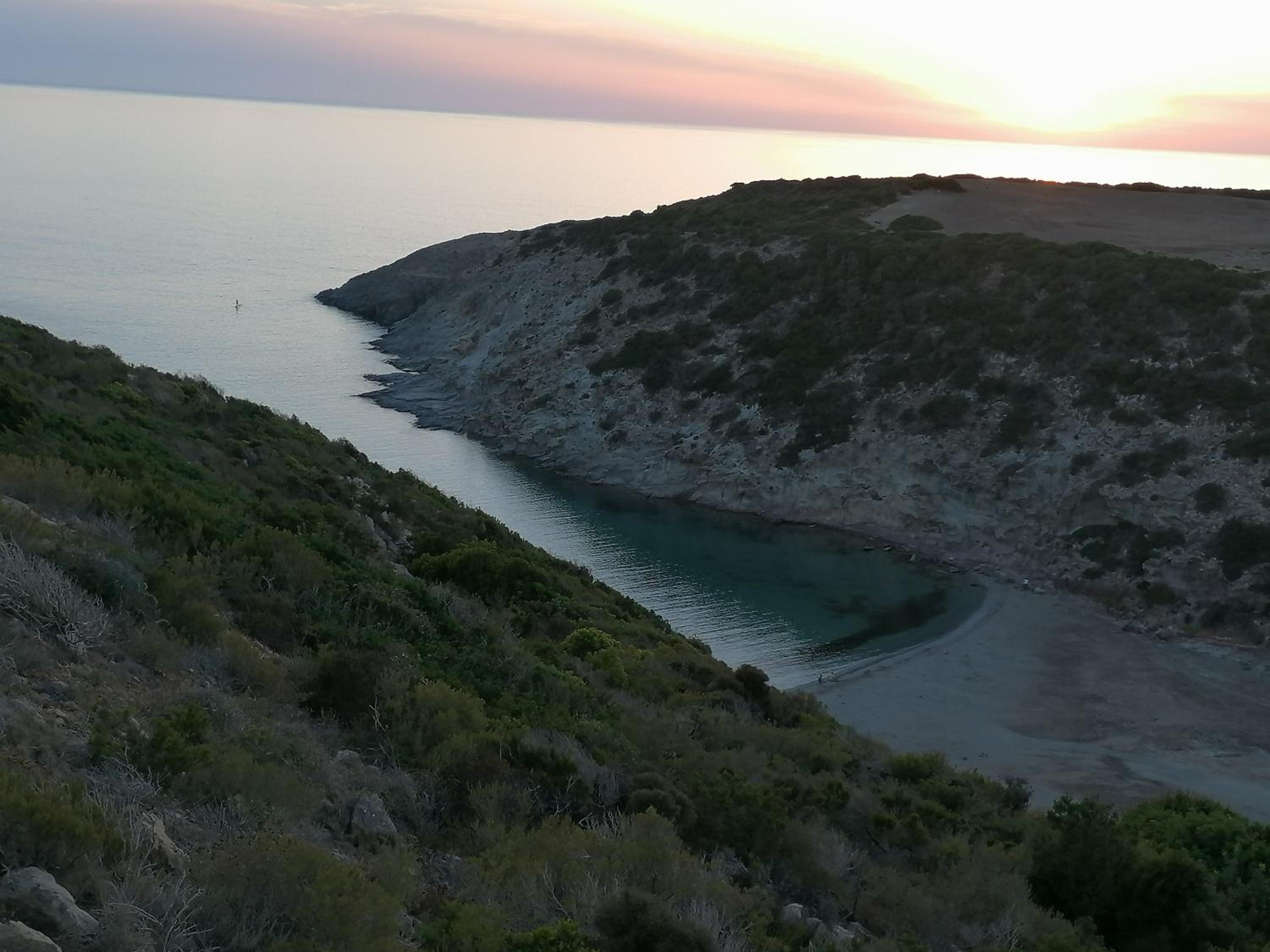 Il Lentischio - Corbezzolo