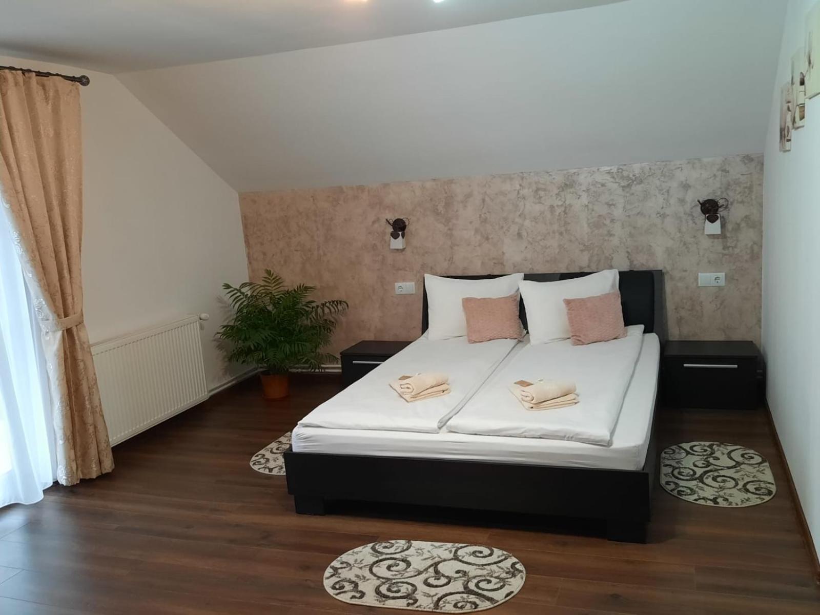 Casa Truța view 2