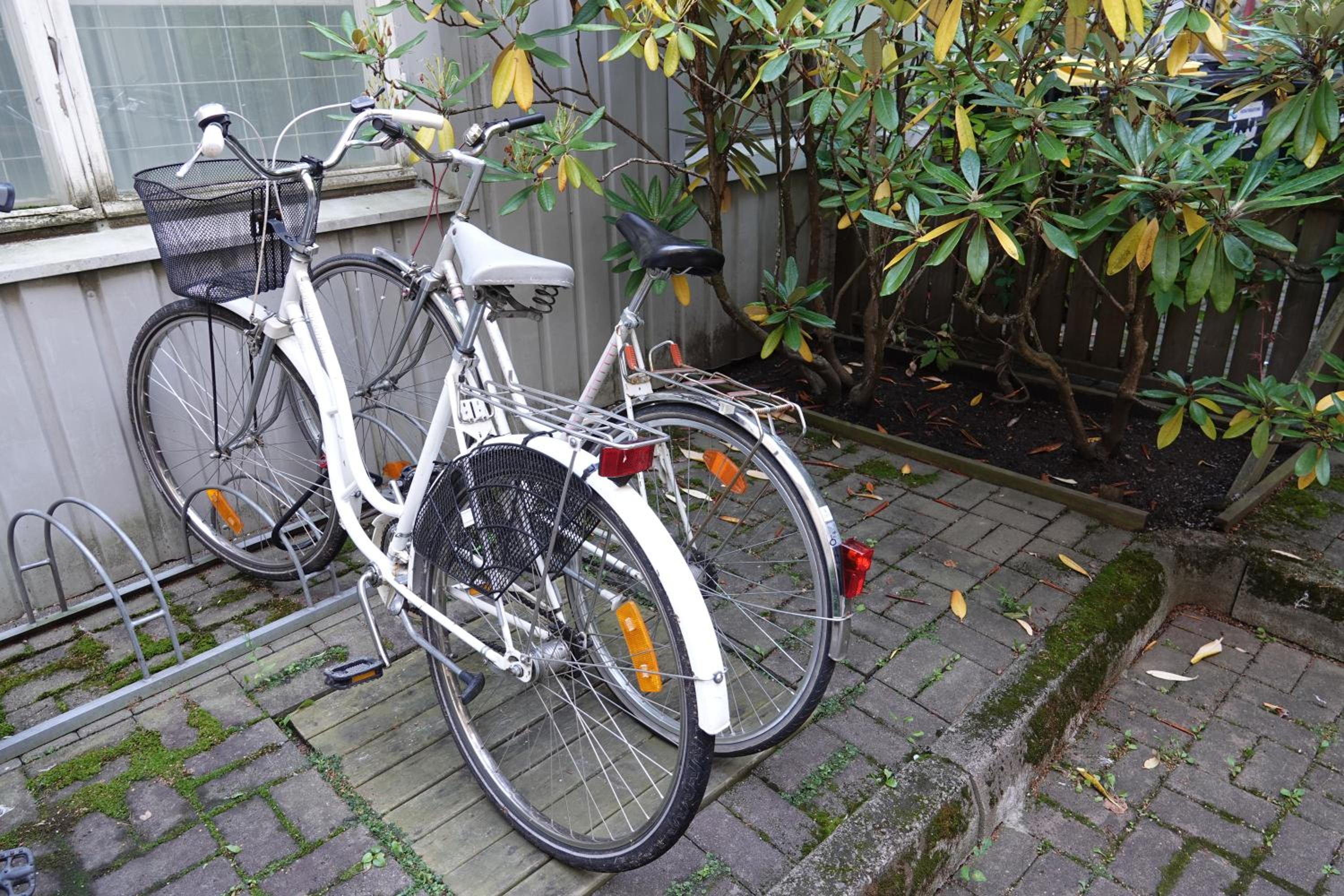 Photo 44