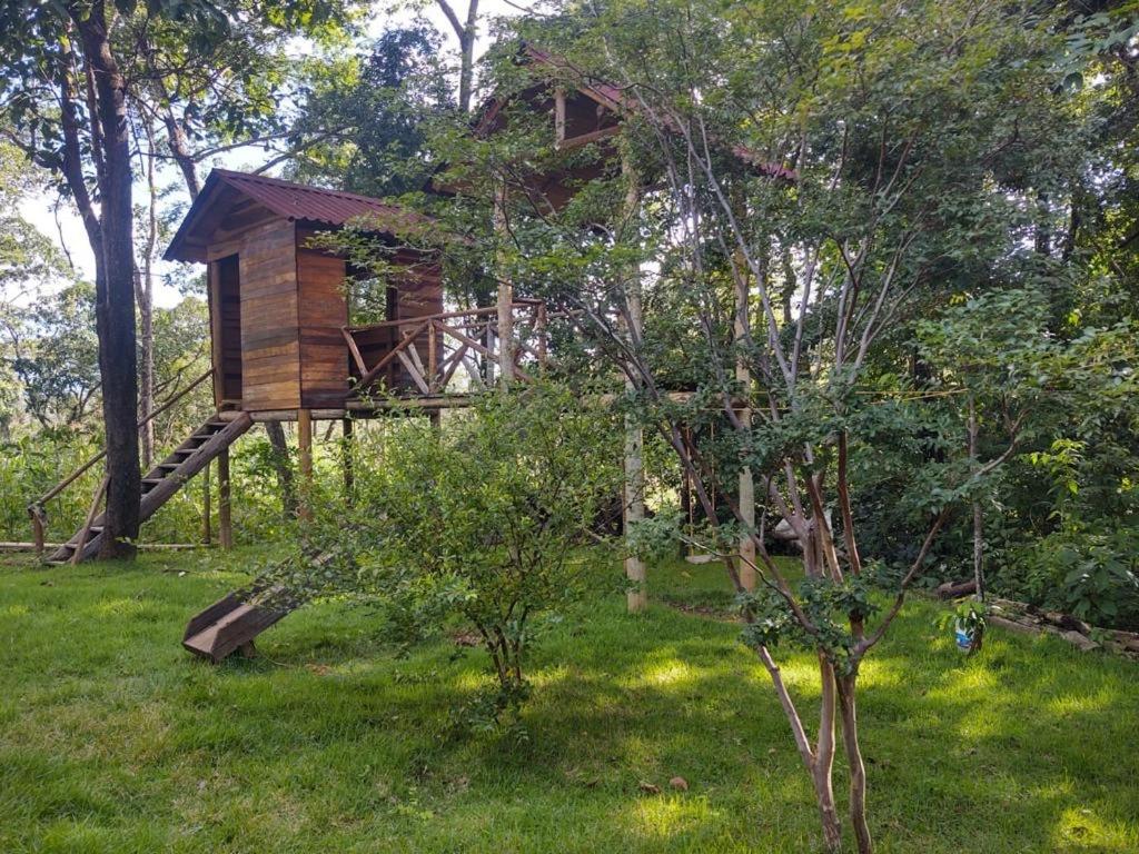 Lapa da Sucupira