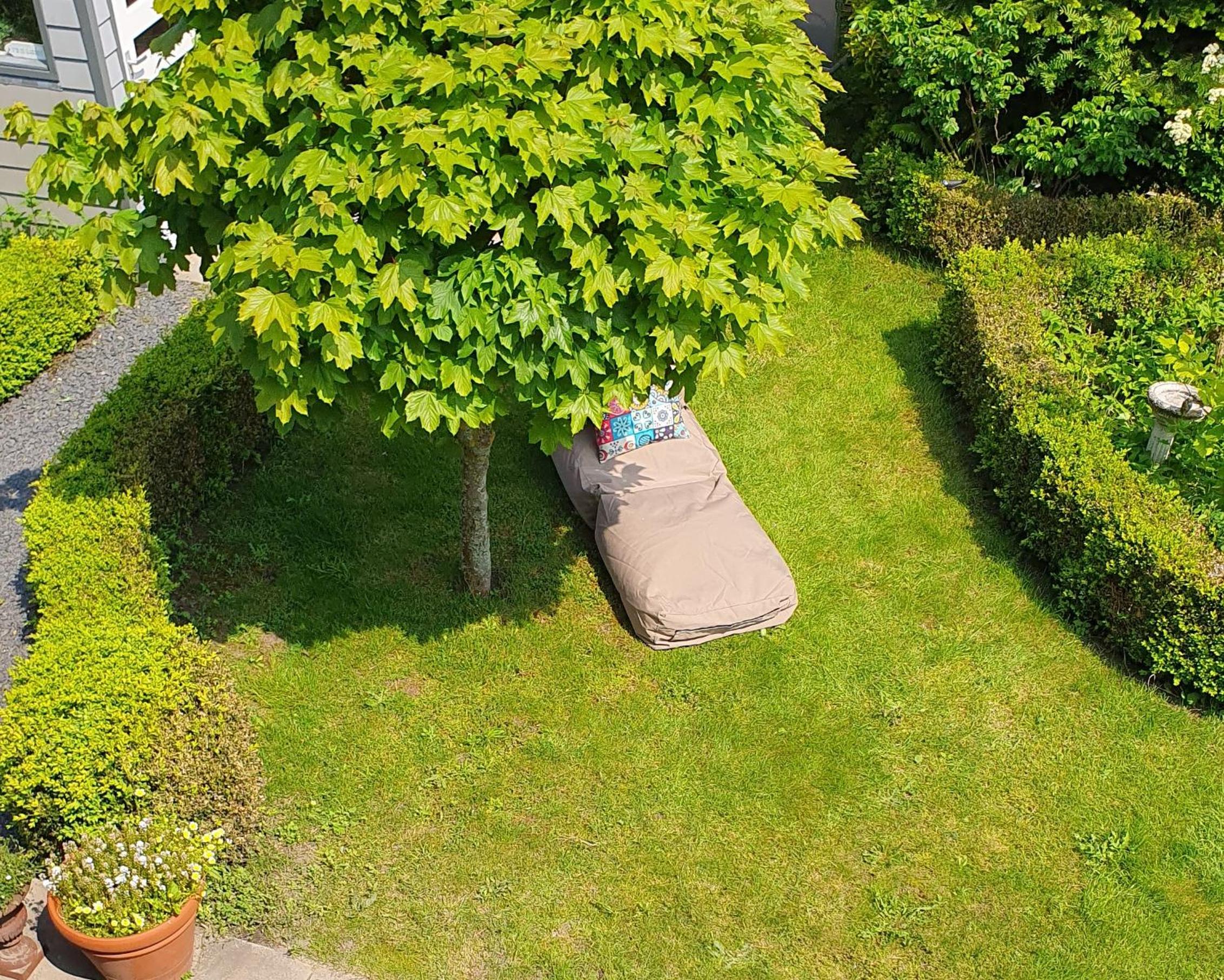 Photo 40