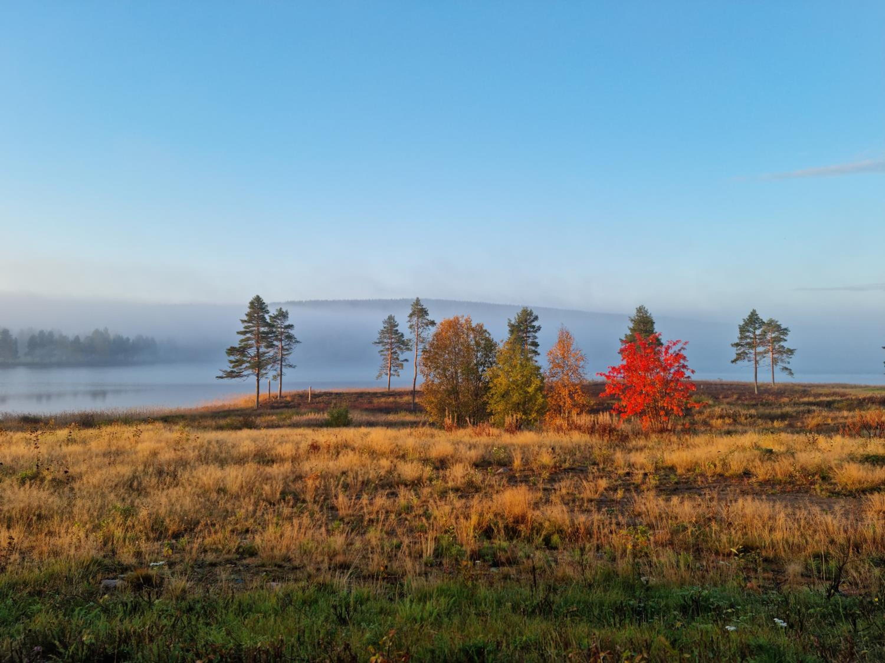Lantlivlodge i Österjörn - Midgård
