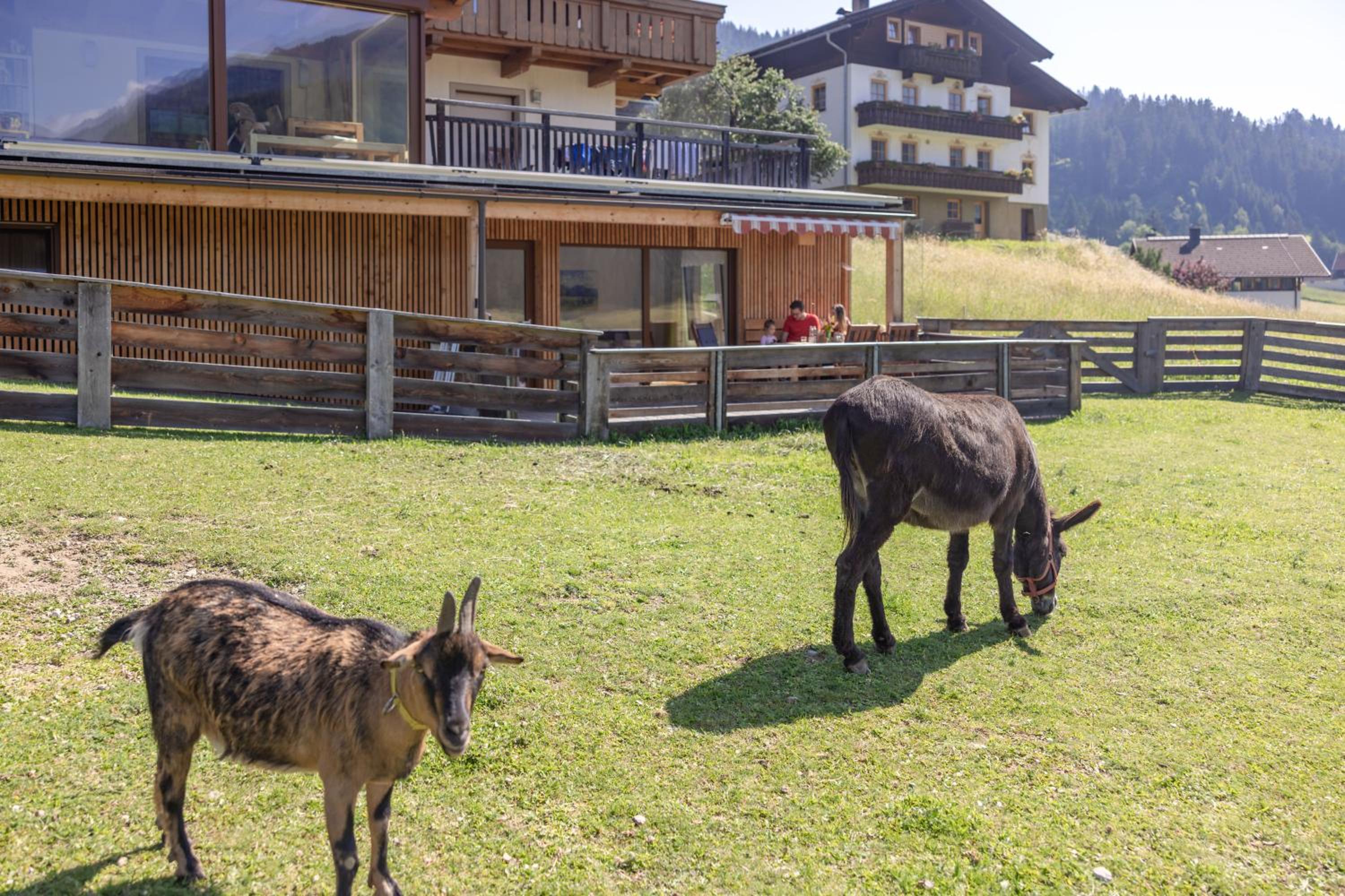Apartmenthaus - Erlebenswert Bauernhof Gruber
