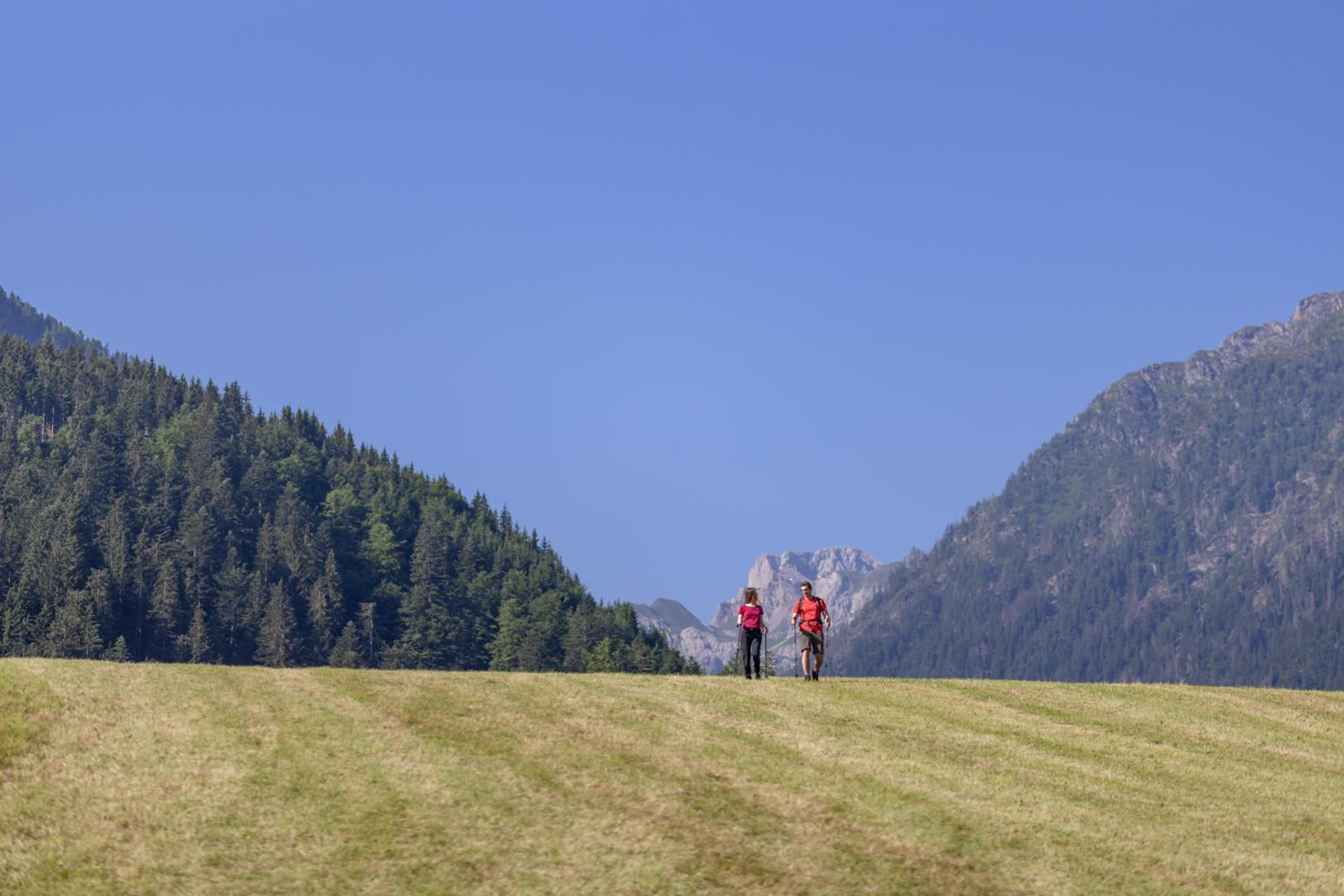 Apartmenthaus - Erlebenswert Bauernhof Gruber
