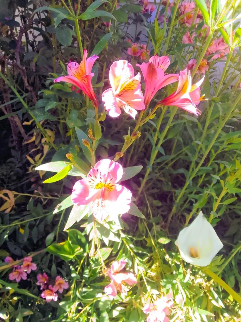 Hogsback Hidden Away