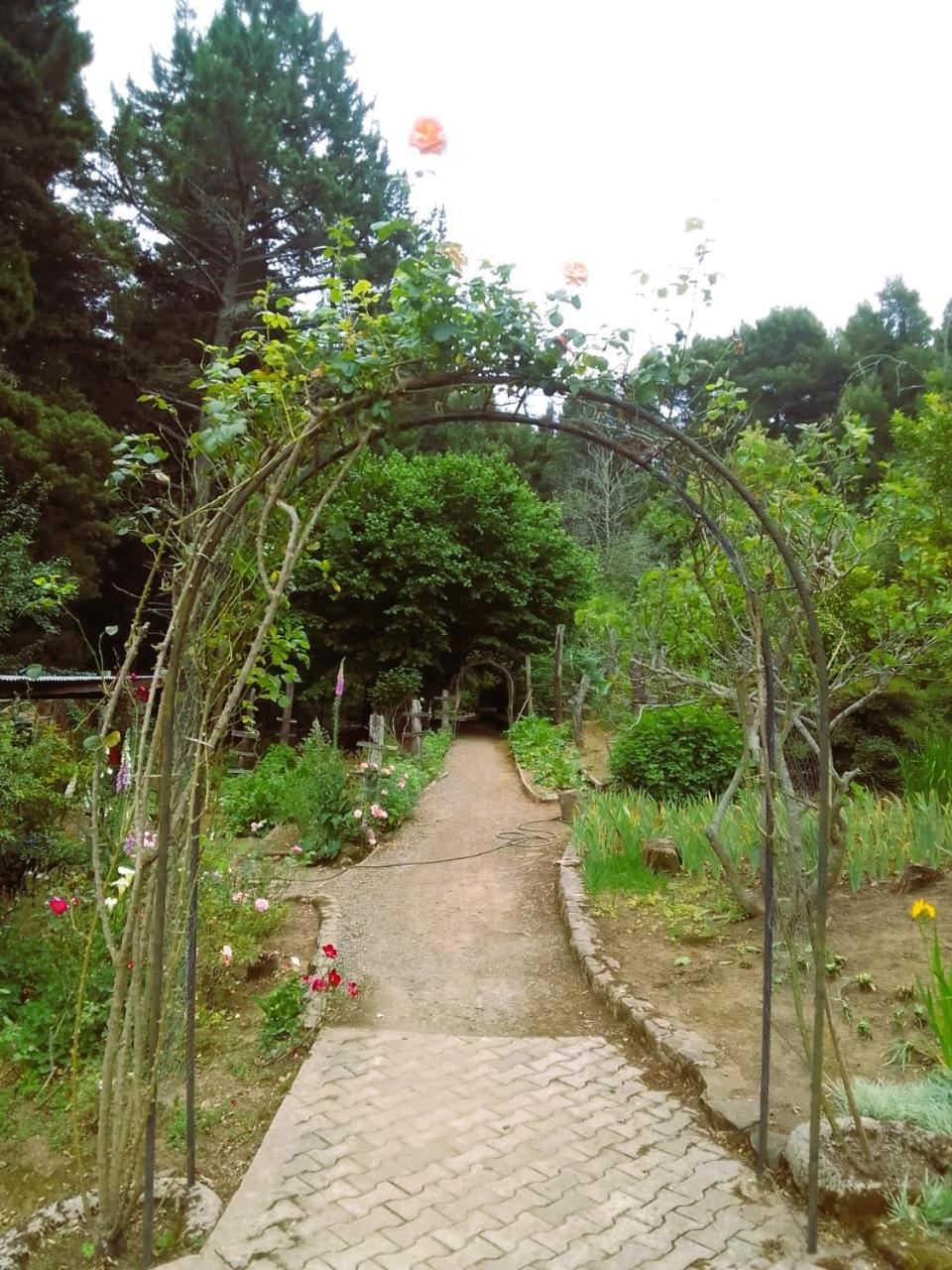Hogsback Hidden Away